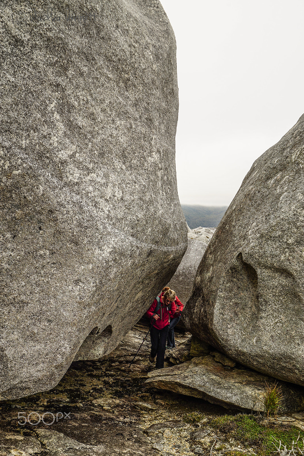 Sony a7S + Sony Vario-Tessar T* FE 16-35mm F4 ZA OSS sample photo. Stewart island discovery cruise photography