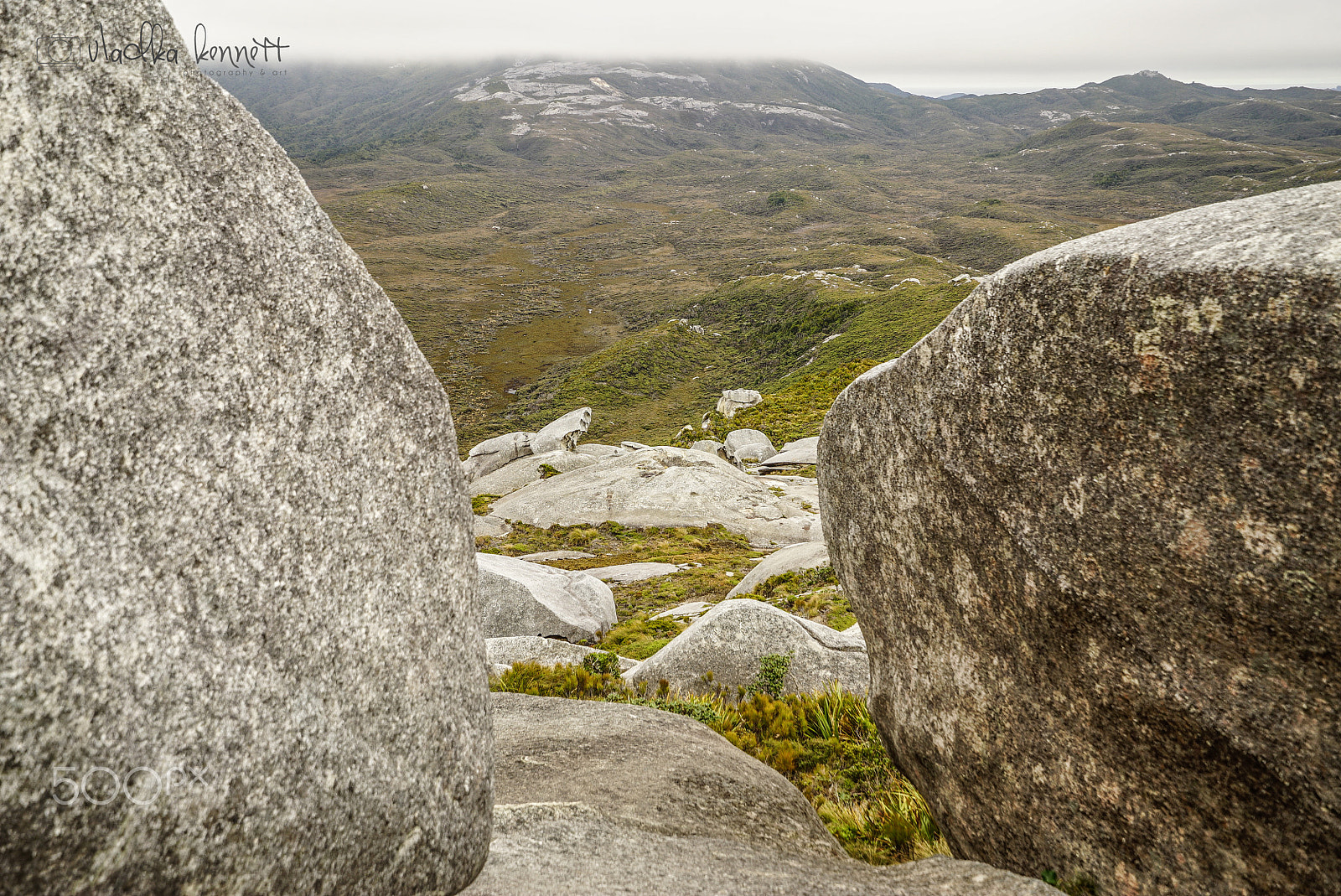 Sony a7S + Sony Vario-Tessar T* FE 16-35mm F4 ZA OSS sample photo. Stewart island discovery cruise photography