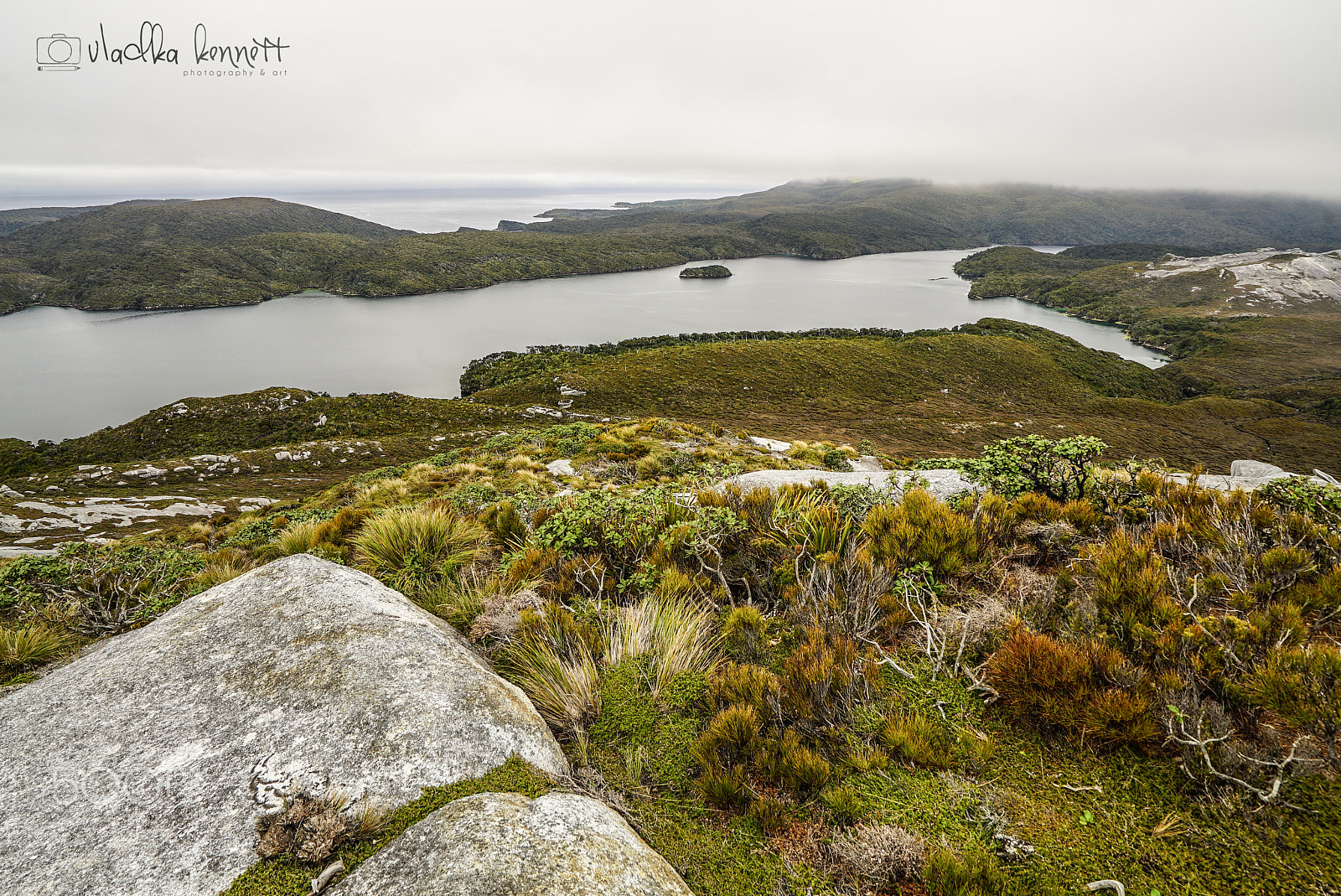 Sony Vario-Tessar T* FE 16-35mm F4 ZA OSS sample photo. Stewart island discovery cruise photography