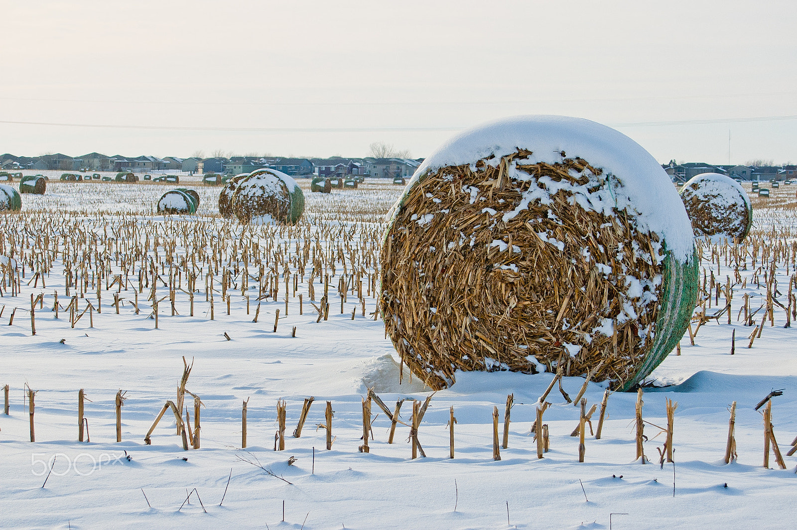 AF Zoom-Nikkor 28-80mm f/3.5-5.6D sample photo. Snow bales photography