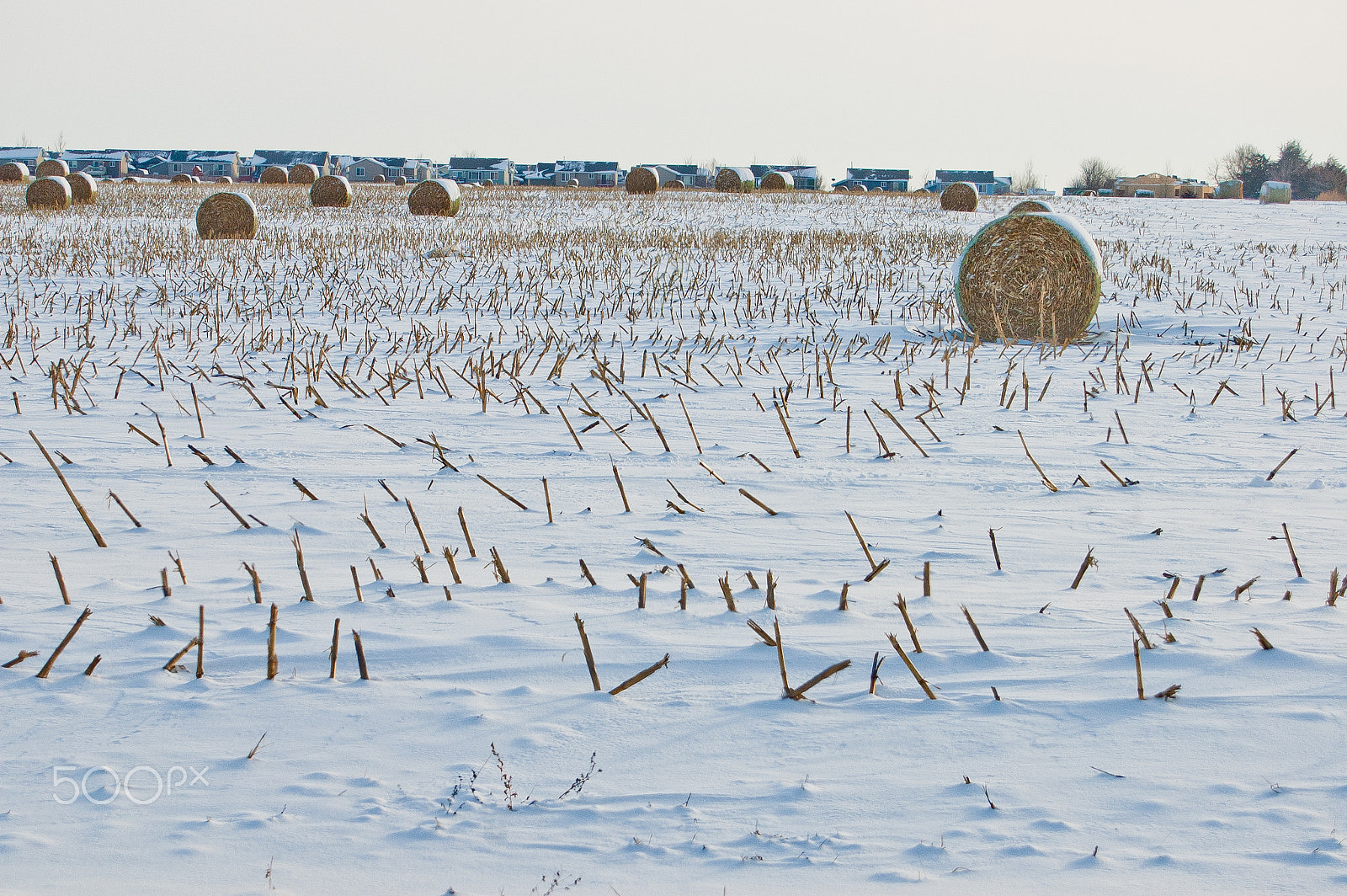 AF Zoom-Nikkor 28-80mm f/3.5-5.6D sample photo. Snow bales photography