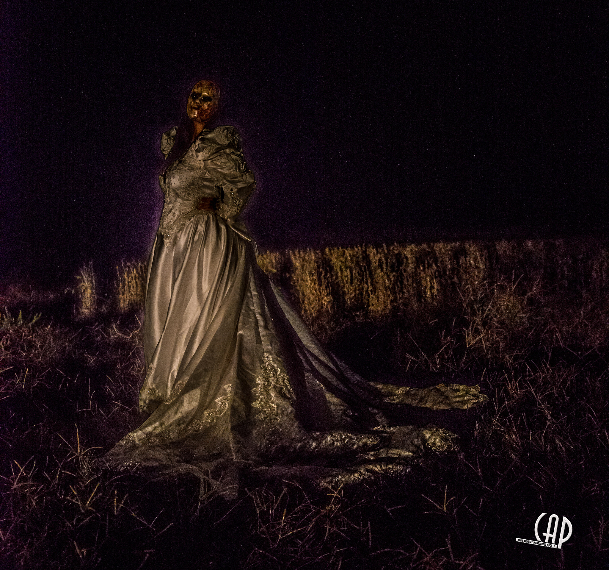 Nikon D800E sample photo. Chris auditore creep show photography