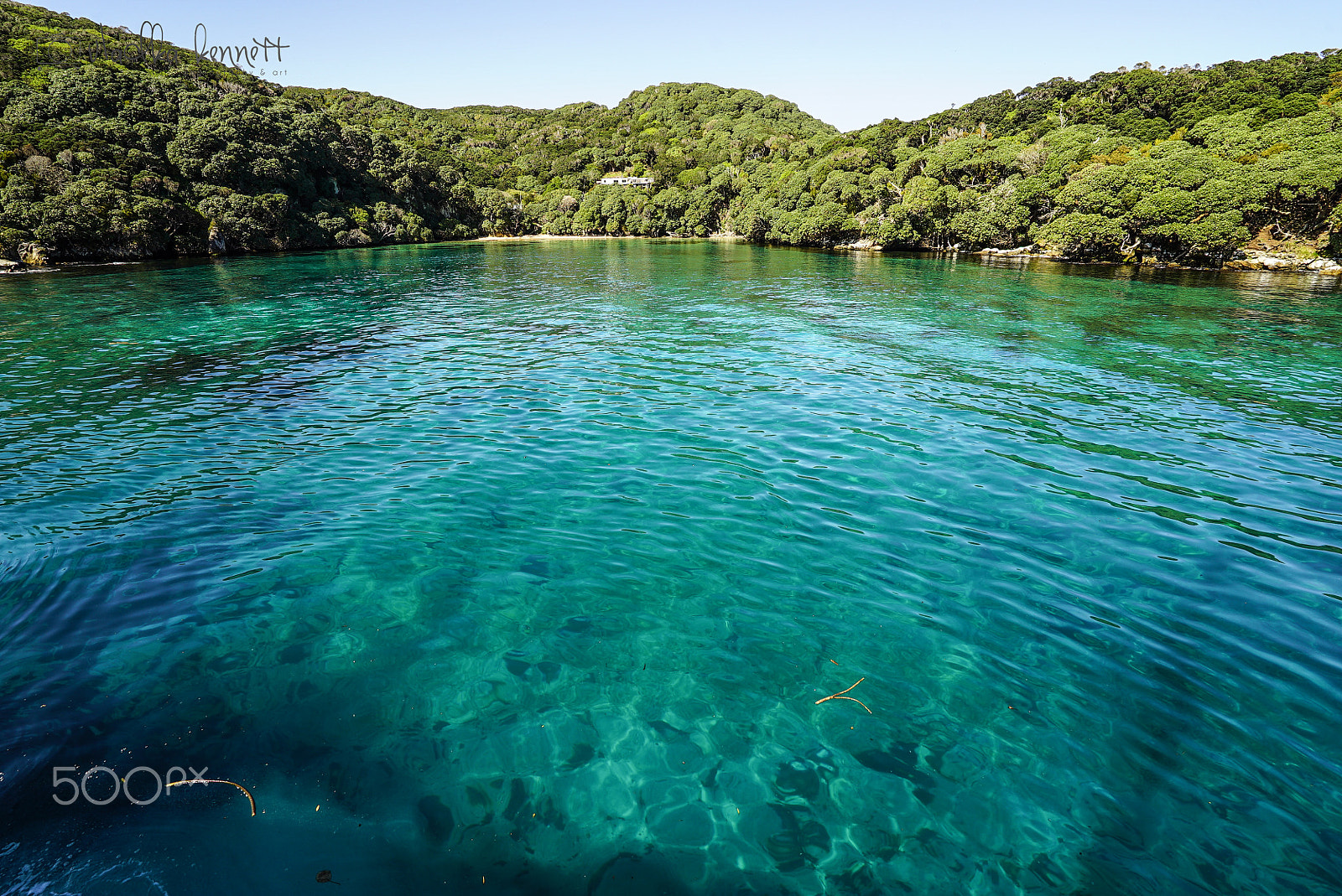 Sony a7S + Sony Vario-Tessar T* FE 16-35mm F4 ZA OSS sample photo. Stewart island discovery cruise photography