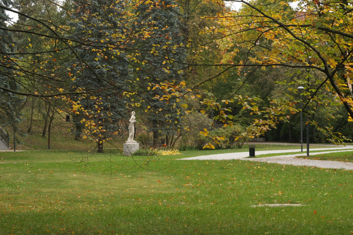 Canon EF 35-80mm f/4-5.6 sample photo. Nymph among the trees photography