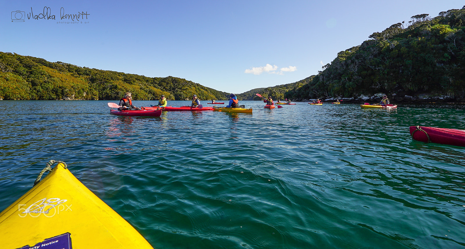 Sony a7S + Sony Vario-Tessar T* FE 16-35mm F4 ZA OSS sample photo. Stewart island discovery cruise photography