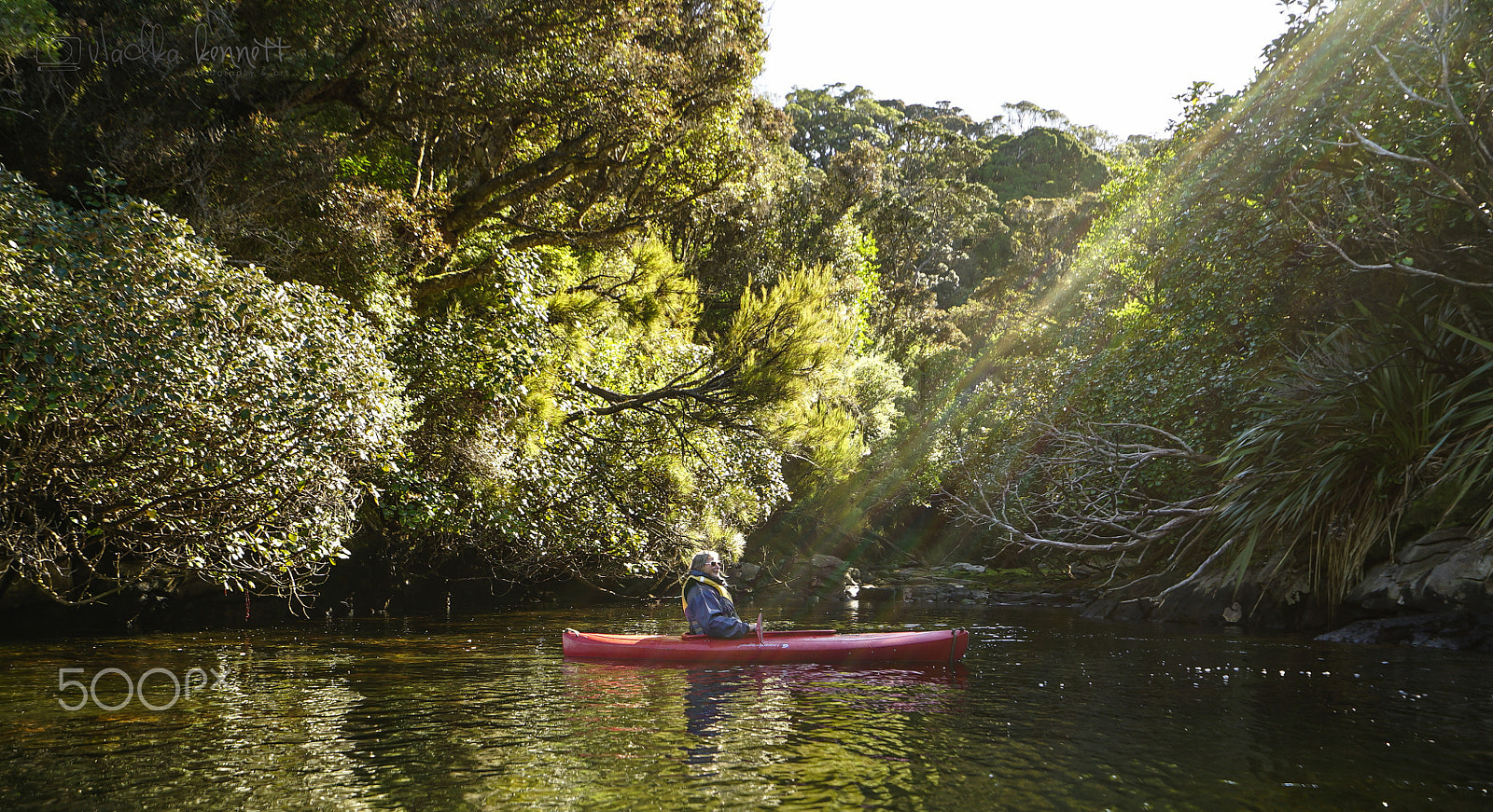 Sony a7S + Sony Vario-Tessar T* FE 16-35mm F4 ZA OSS sample photo. Stewart island discovery cruise photography