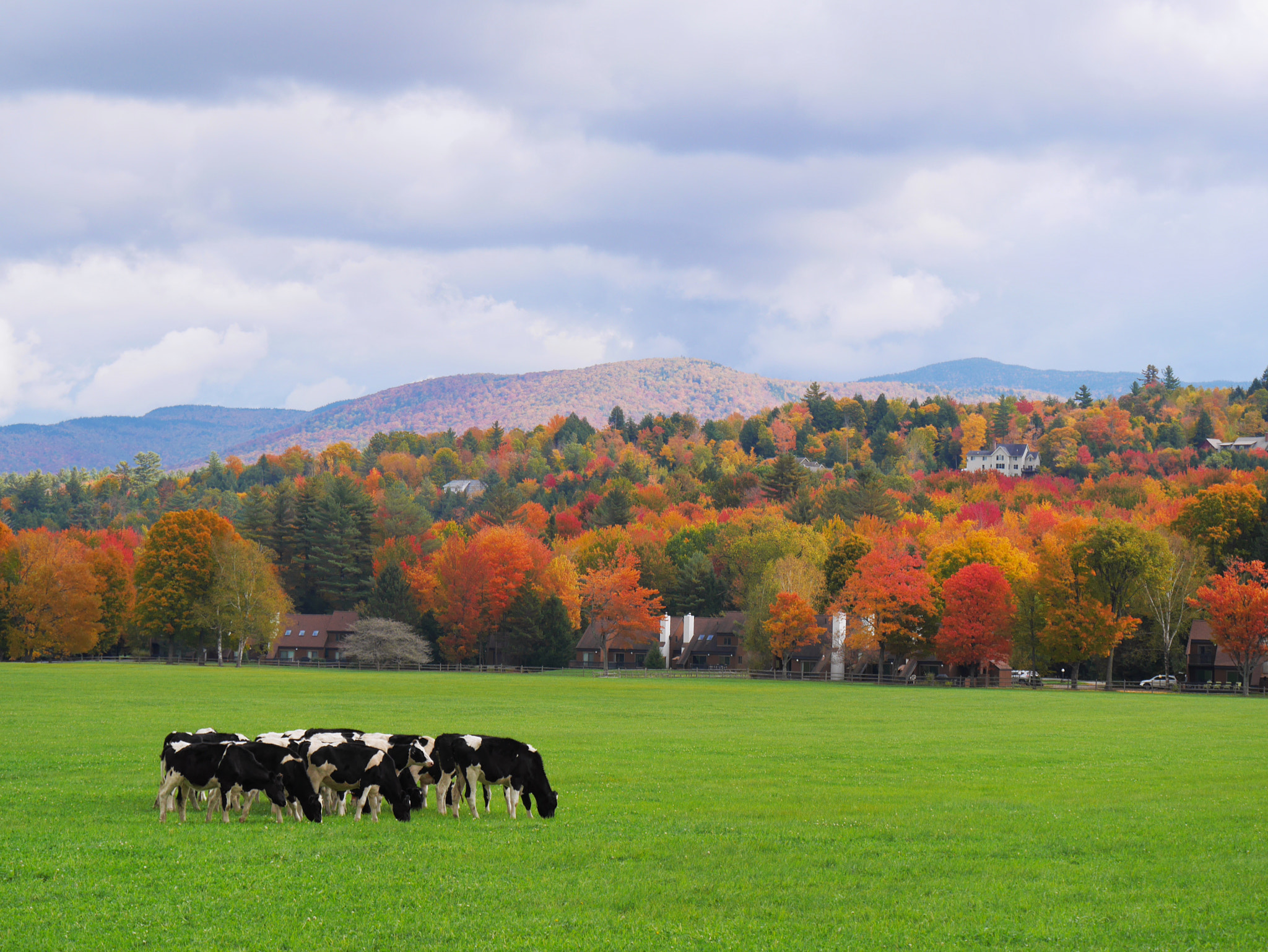 Panasonic Lumix DMC-GX7 sample photo. Autumn colours in vermont photography