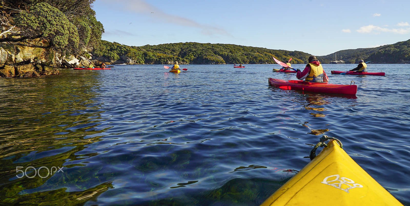 Sony a7S + Sony Vario-Tessar T* FE 16-35mm F4 ZA OSS sample photo. Stewart island discovery cruise photography