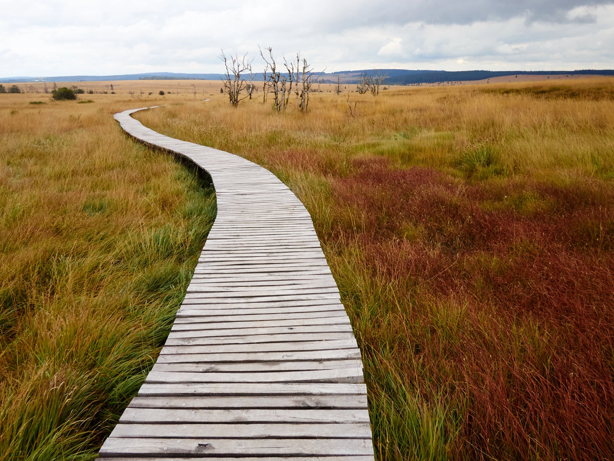 Olympus OM-D E-M5 + Panasonic Lumix G 14mm F2.5 ASPH sample photo. Boardwalk photography