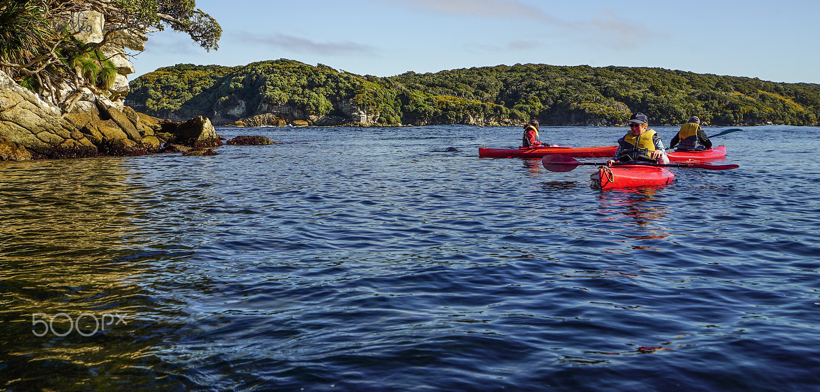 Sony a7S + Sony Vario-Tessar T* FE 16-35mm F4 ZA OSS sample photo. Stewart island discovery cruise photography