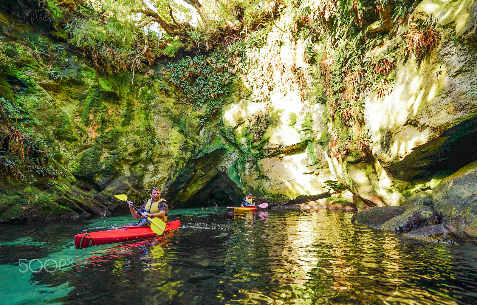 Sony a7S + Sony Vario-Tessar T* FE 16-35mm F4 ZA OSS sample photo. Stewart island discovery cruise photography