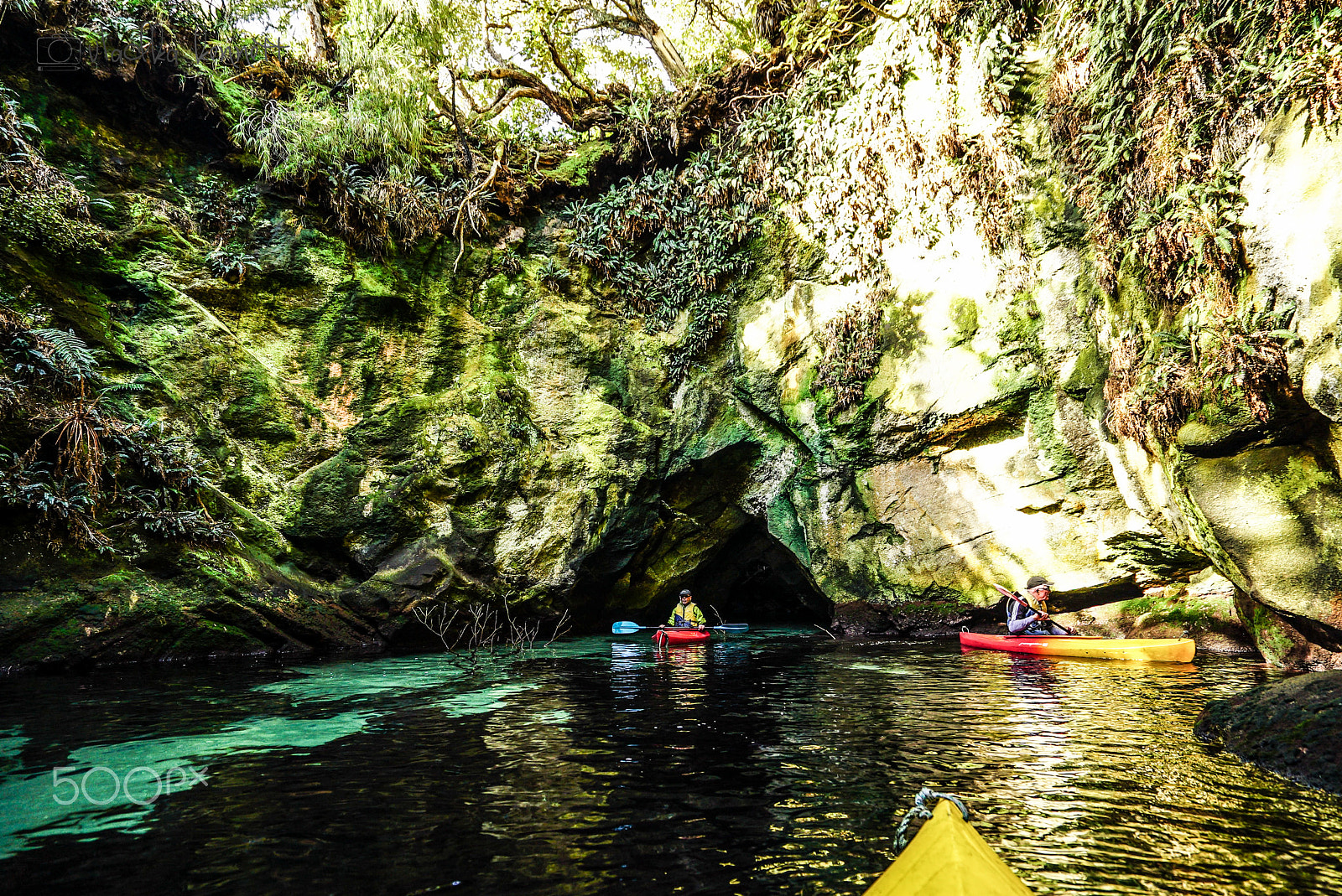 Sony a7S + Sony Vario-Tessar T* FE 16-35mm F4 ZA OSS sample photo. Stewart island discovery cruise photography