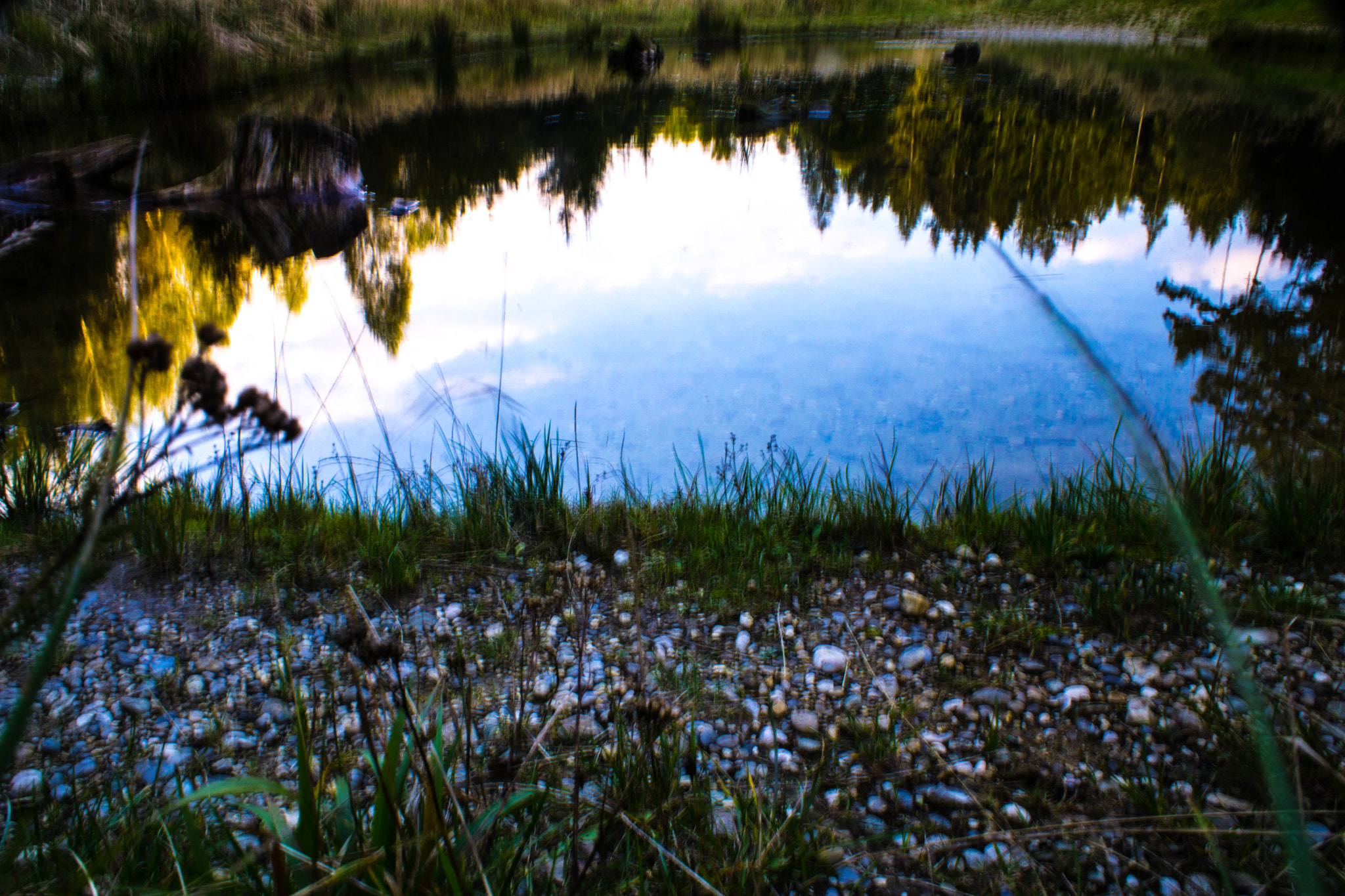Sony DT 18-70mm F3.5-5.6 sample photo. Amphibientümpel photography