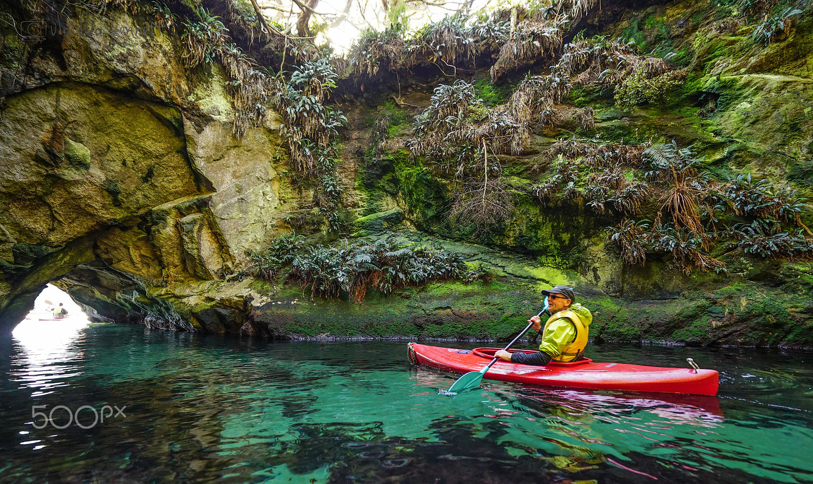 Sony a7S + Sony Vario-Tessar T* FE 16-35mm F4 ZA OSS sample photo. Stewart island discovery cruise photography