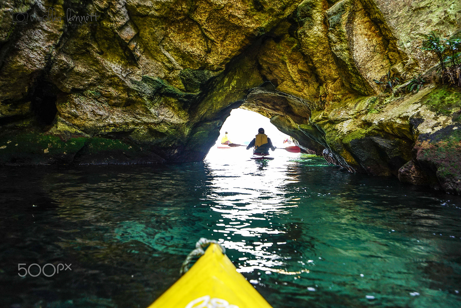 Sony a7S + Sony Vario-Tessar T* FE 16-35mm F4 ZA OSS sample photo. Stewart island discovery cruise photography