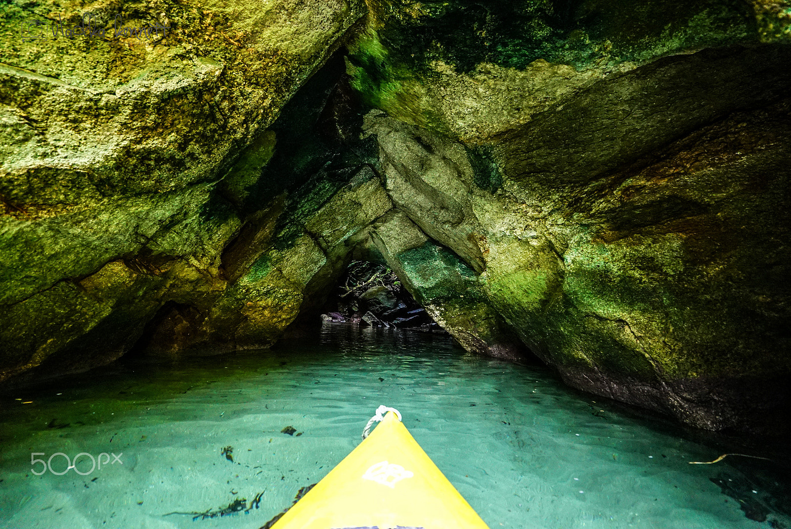 Sony a7S + Sony Vario-Tessar T* FE 16-35mm F4 ZA OSS sample photo. Stewart island discovery cruise photography