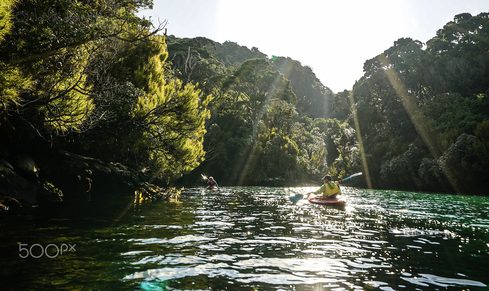 Sony a7S + Sony Vario-Tessar T* FE 16-35mm F4 ZA OSS sample photo. Stewart island discovery cruise photography