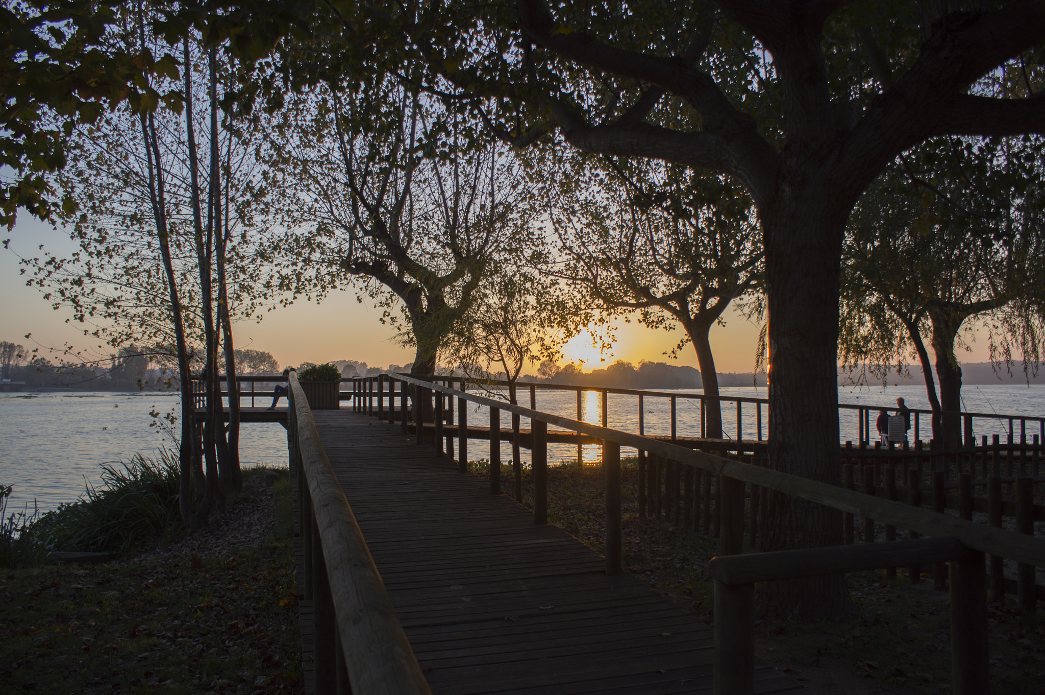 Sony SLT-A55 (SLT-A55V) sample photo. Sol na pateira photography