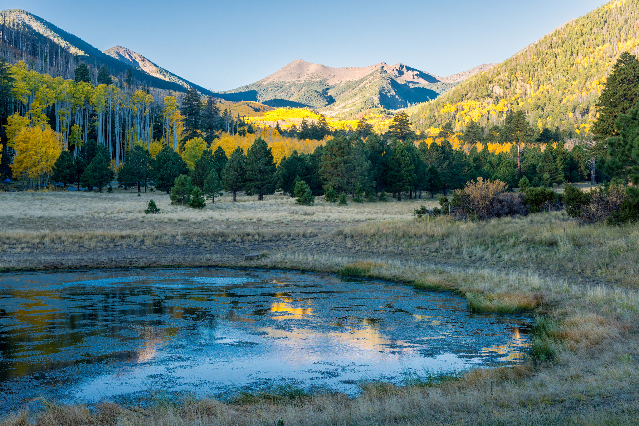 Nikon AF-S Nikkor 28-70mm F2.8 ED-IF sample photo. Morning aspens photography