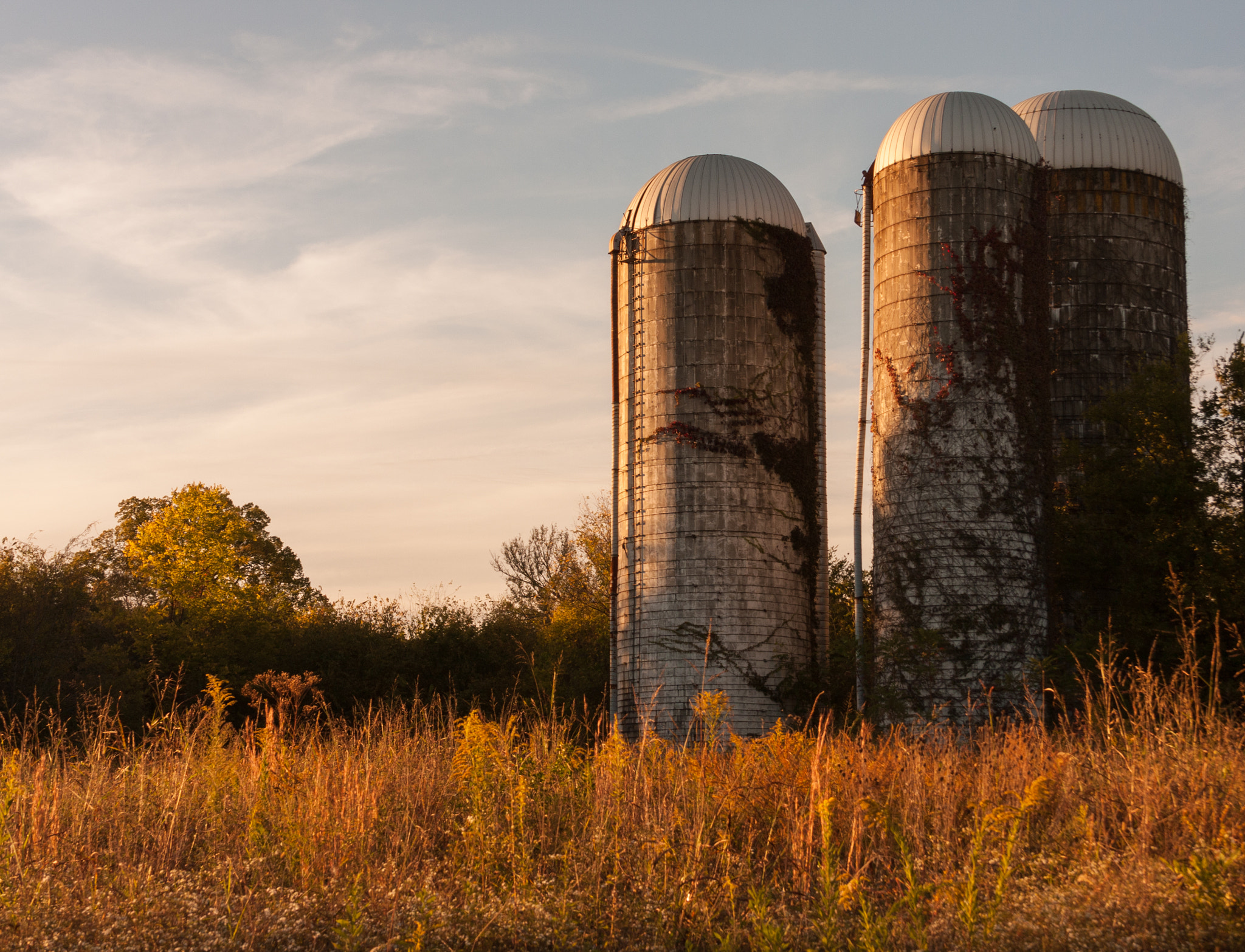 Canon EOS 40D + Canon EF-S 18-55mm F3.5-5.6 II sample photo. Silos at sunset photography