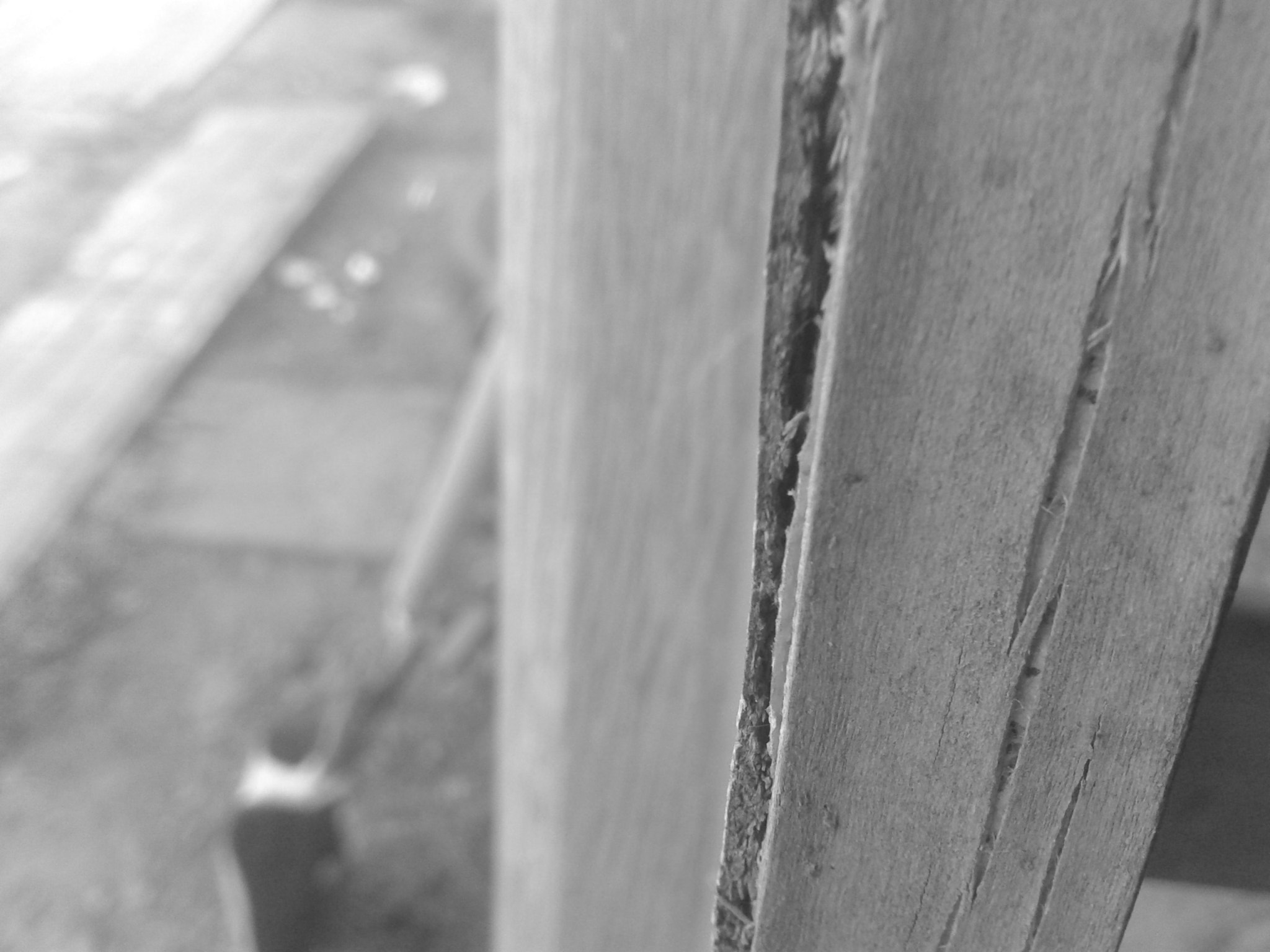 Samsung Galaxy S Advance sample photo. Wood and cat photography