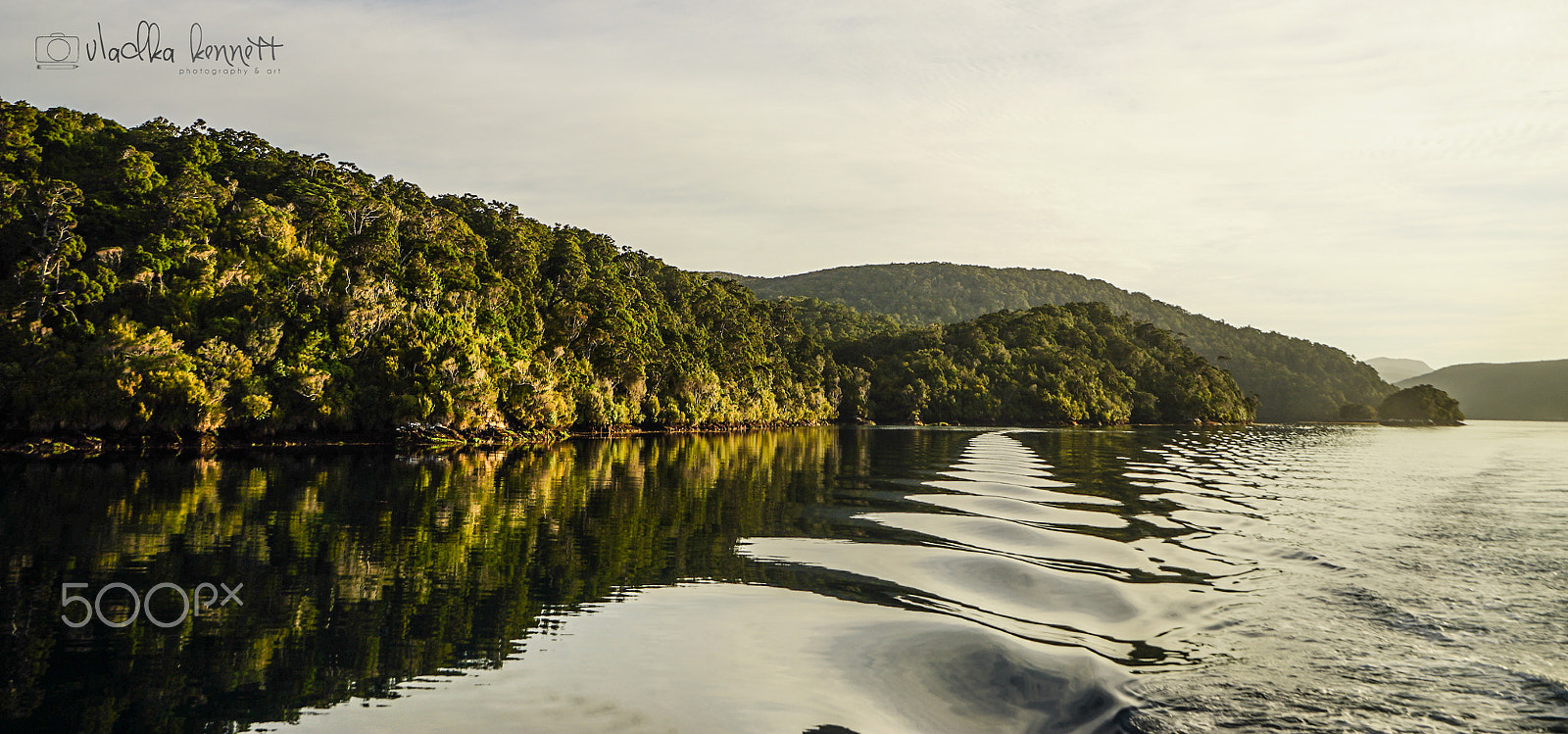 Sony a7S + Sony Vario-Tessar T* FE 16-35mm F4 ZA OSS sample photo. Stewart island discovery cruise photography