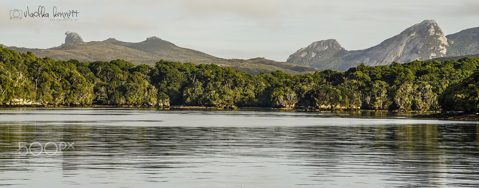 Sony a7S + Sony FE 70-200mm F4 G OSS sample photo. Stewart island discovery cruise photography