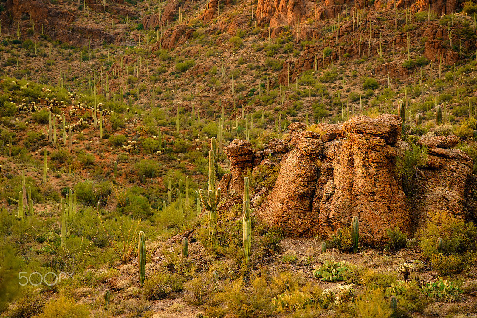 Canon EF 70-200mm F2.8L IS II USM sample photo. Rock formation in gates pass, tuscon, arizona photography