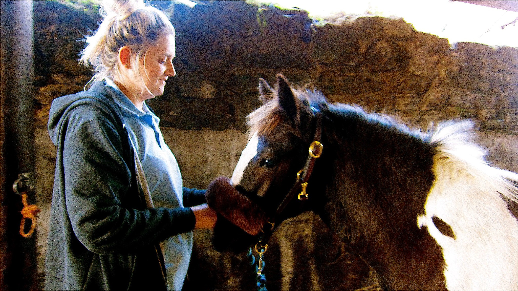 Canon PowerShot SD4000 IS (IXUS 300 HS / IXY 30S) sample photo. Abbie and wee marty, abbie lost her beloved horse  ... photography