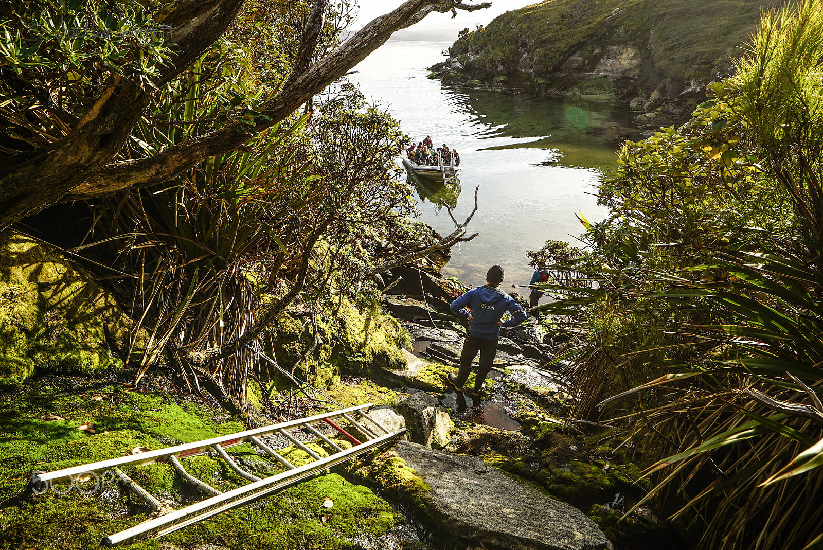 Sony a7S + Sony Vario-Tessar T* FE 16-35mm F4 ZA OSS sample photo. Stewart island discovery cruise photography