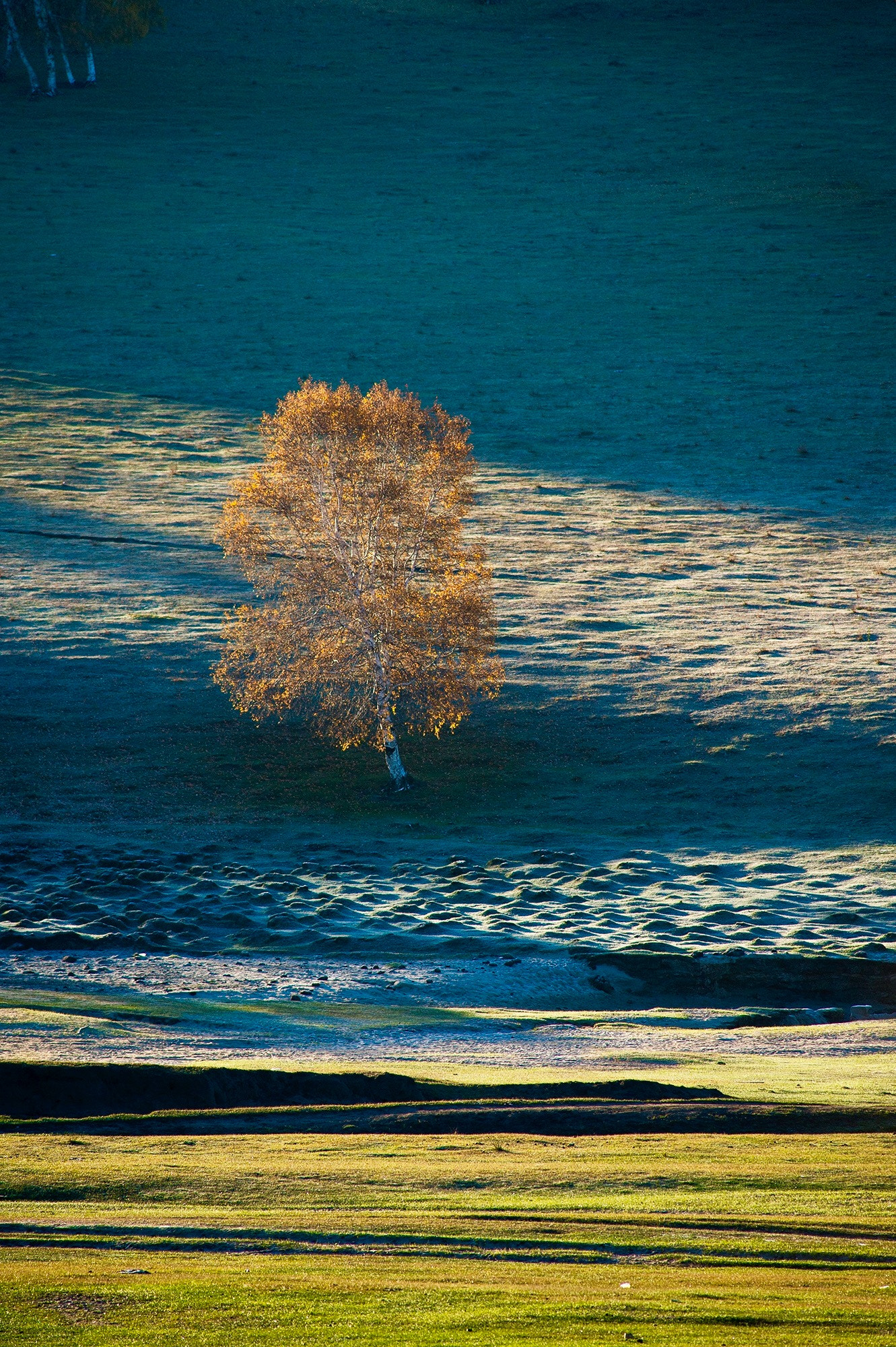 AF Nikkor 300mm f/4 IF-ED sample photo. Autumn photography