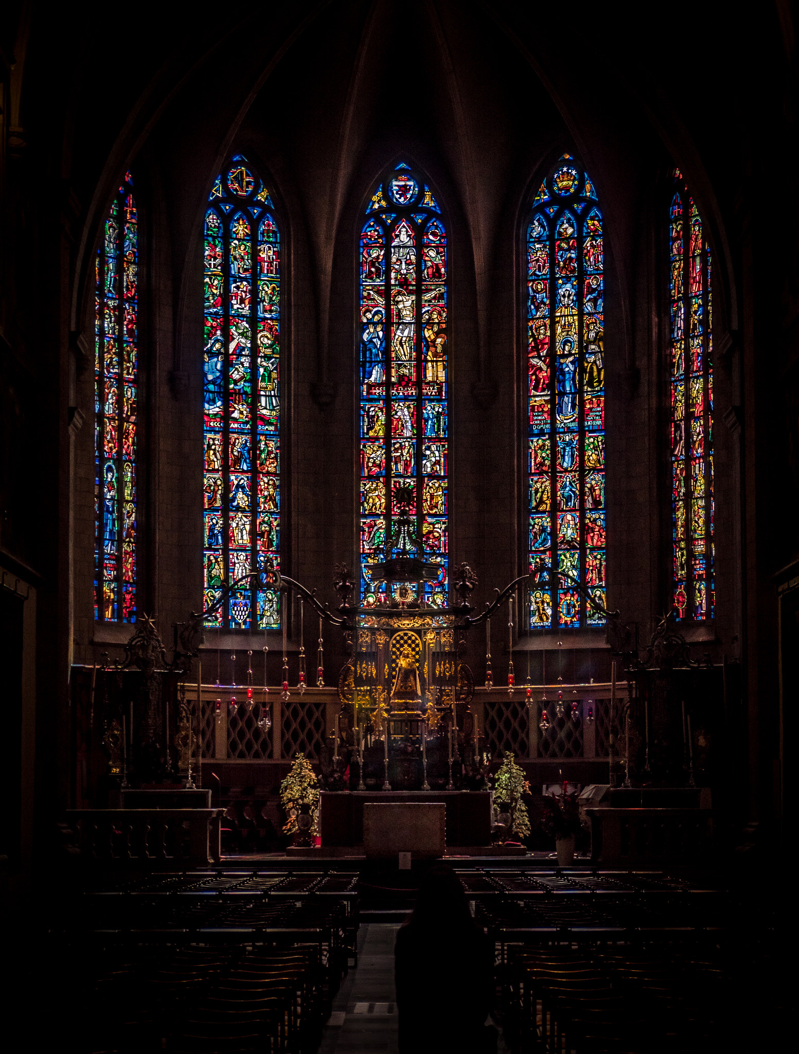 Panasonic Lumix G Vario 45-200mm F4-5.6 OIS sample photo. Notre-dame photography