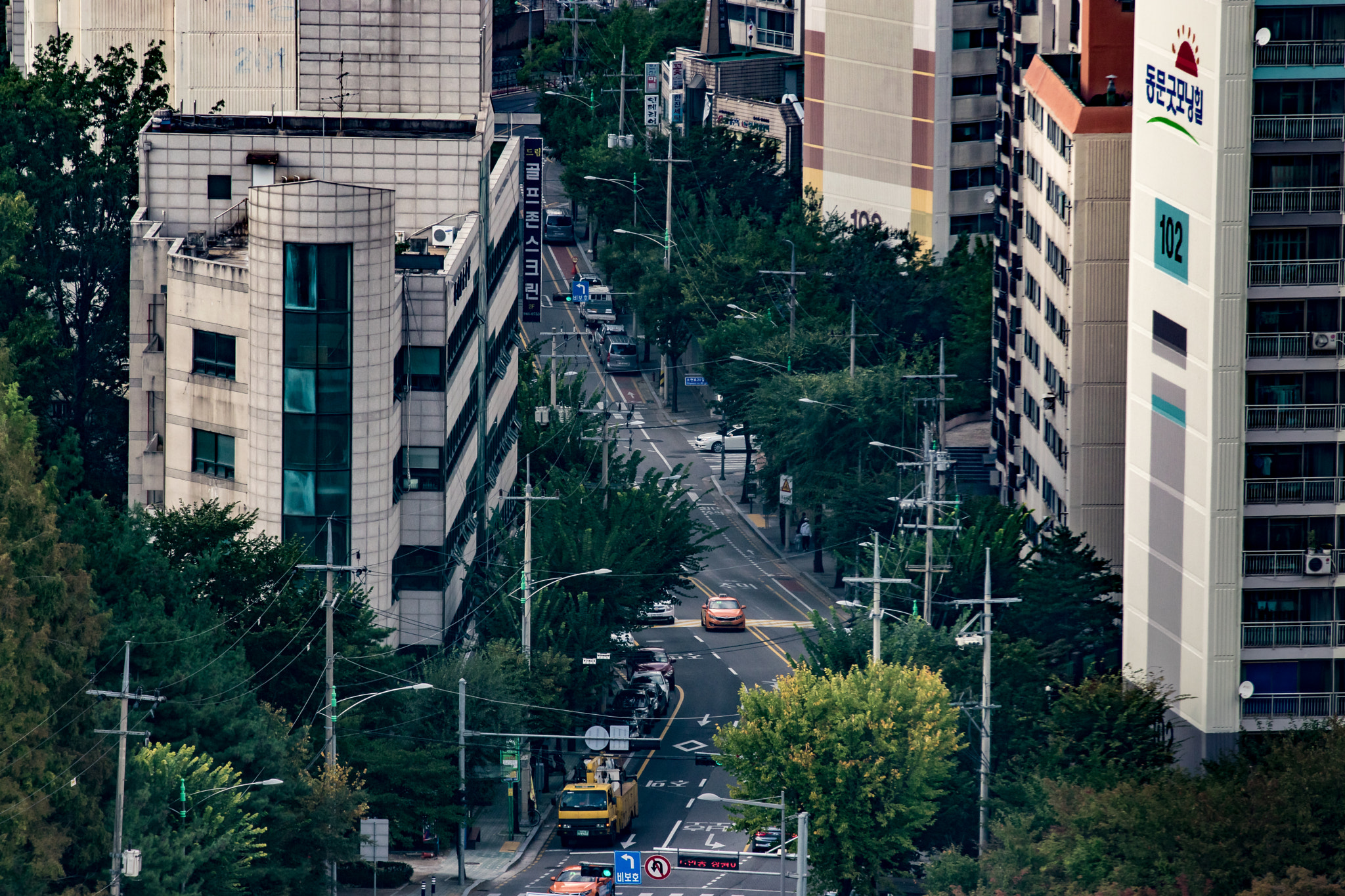 Sigma 70-200mm F2.8 EX DG OS HSM sample photo. Vantage photography
