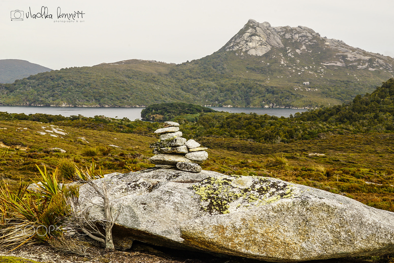 Sony a7S + Sony FE 70-200mm F4 G OSS sample photo. Stewart island discovery cruise photography