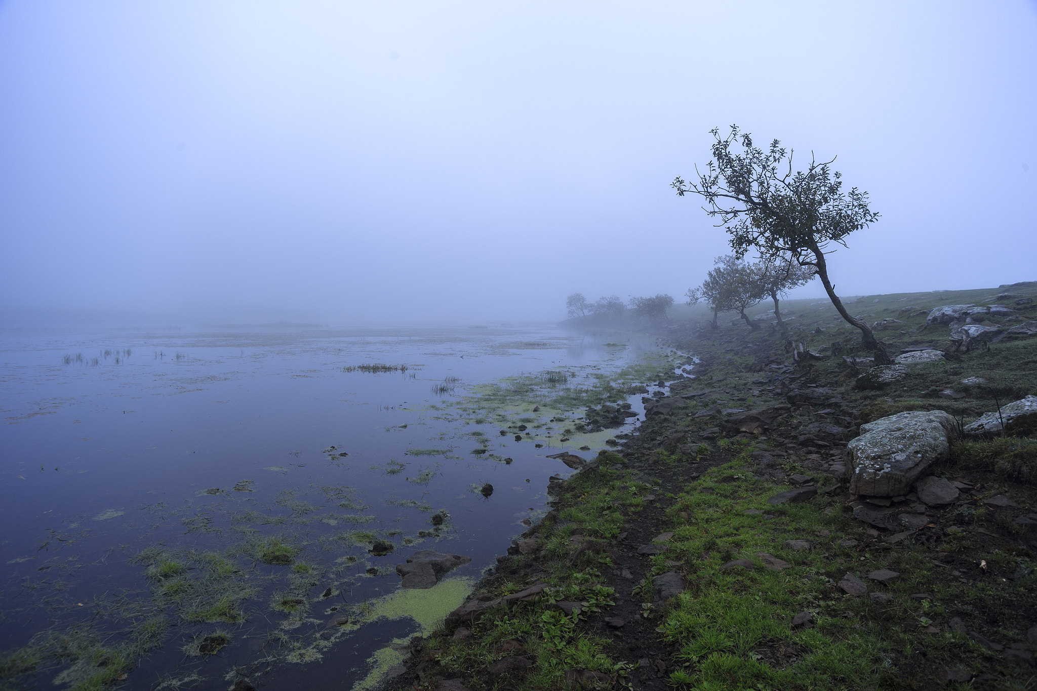 Tamron AF 19-35mm f/3.5-4.5 sample photo. Javaxetis lake photography