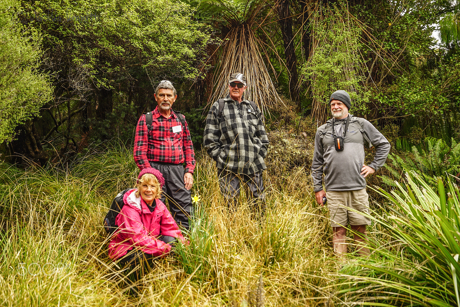 Sony a7S + Sony Vario-Tessar T* FE 16-35mm F4 ZA OSS sample photo. Stewart island discovery cruise photography