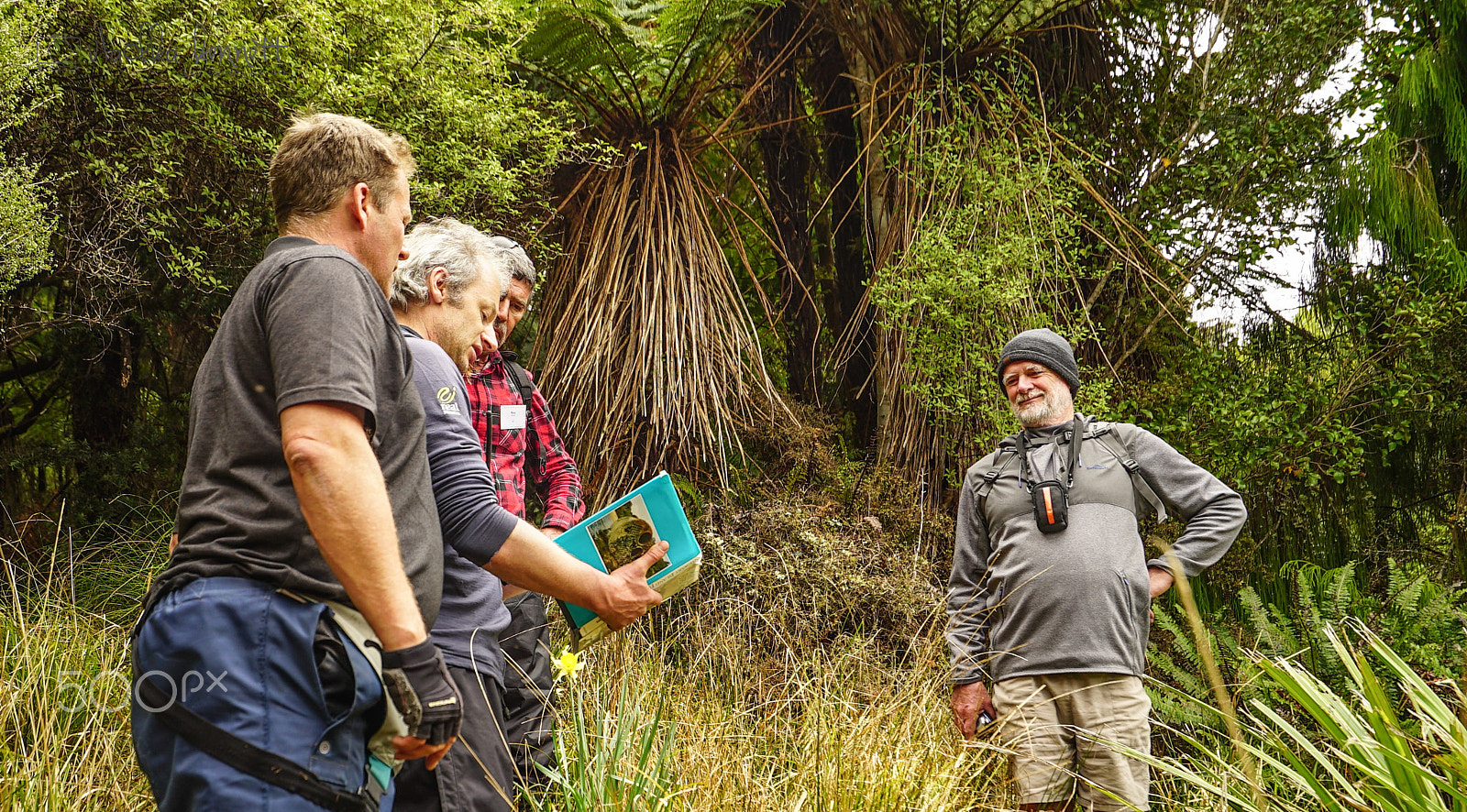 Sony a7S + Sony Vario-Tessar T* FE 16-35mm F4 ZA OSS sample photo. Stewart island discovery cruise photography