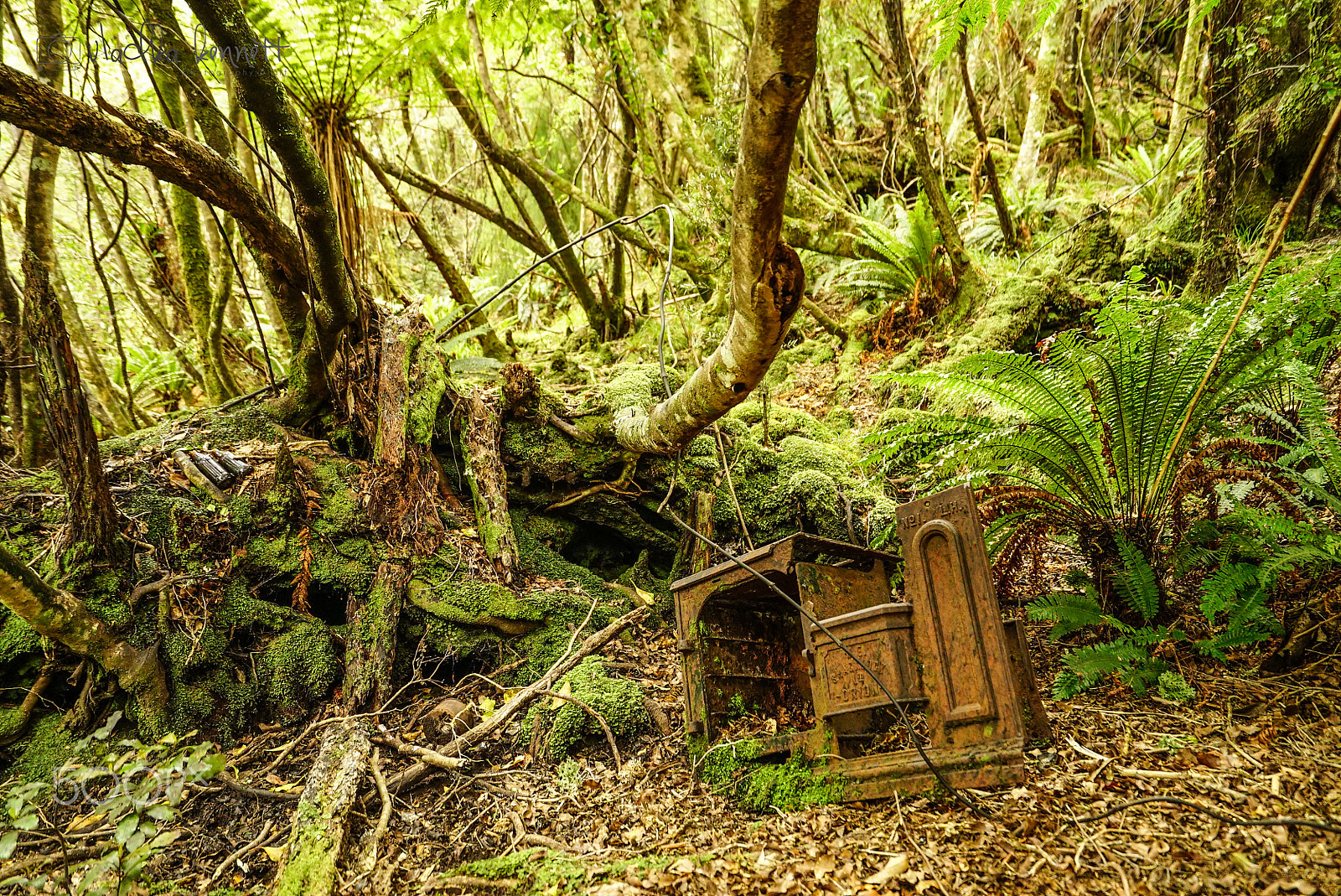 Sony a7S + Sony Vario-Tessar T* FE 16-35mm F4 ZA OSS sample photo. Stewart island discovery cruise photography