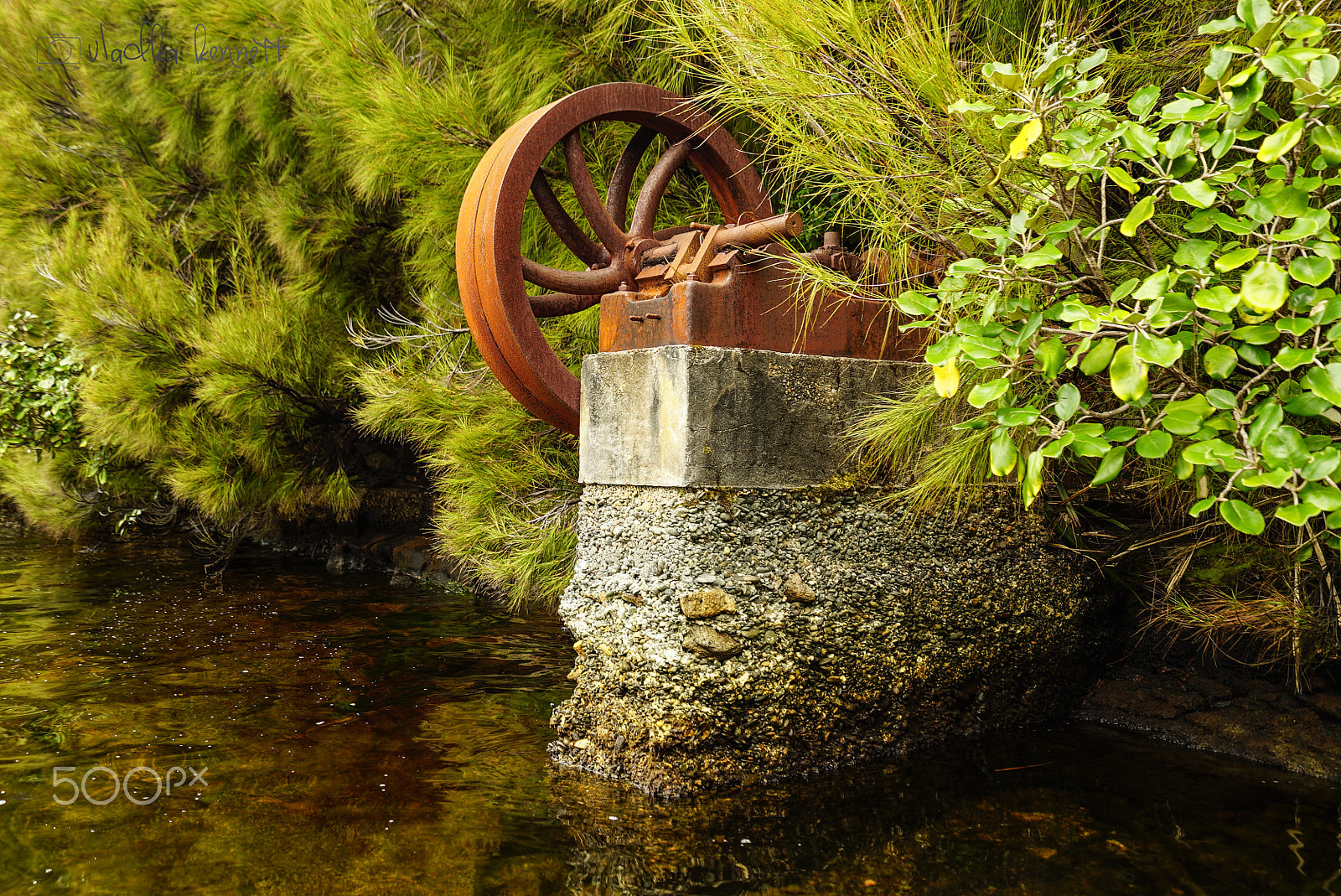 Sony a7S + Sony Vario-Tessar T* FE 16-35mm F4 ZA OSS sample photo. Stewart island discovery cruise photography