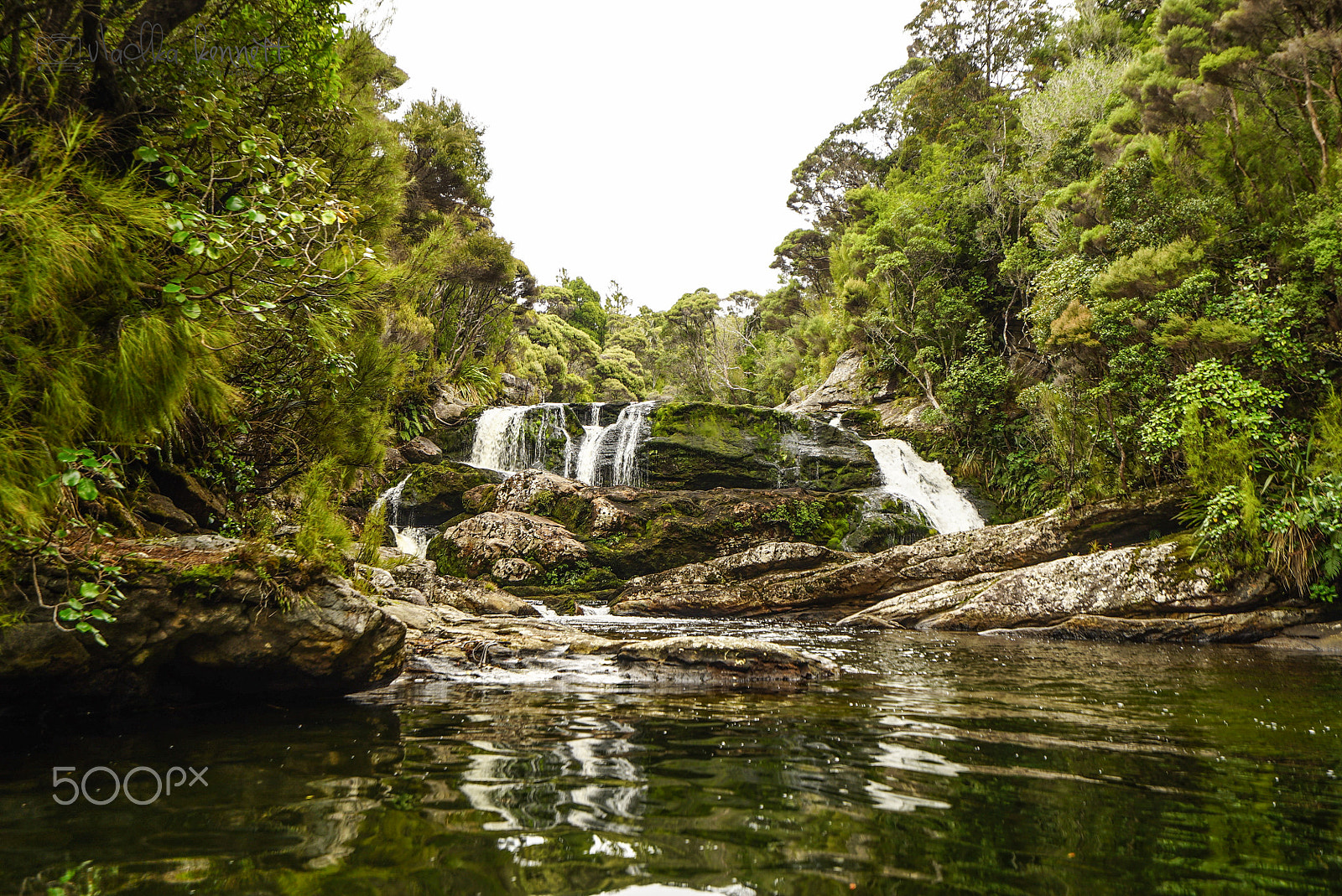 Sony Vario-Tessar T* FE 16-35mm F4 ZA OSS sample photo. Stewart island discovery cruise photography