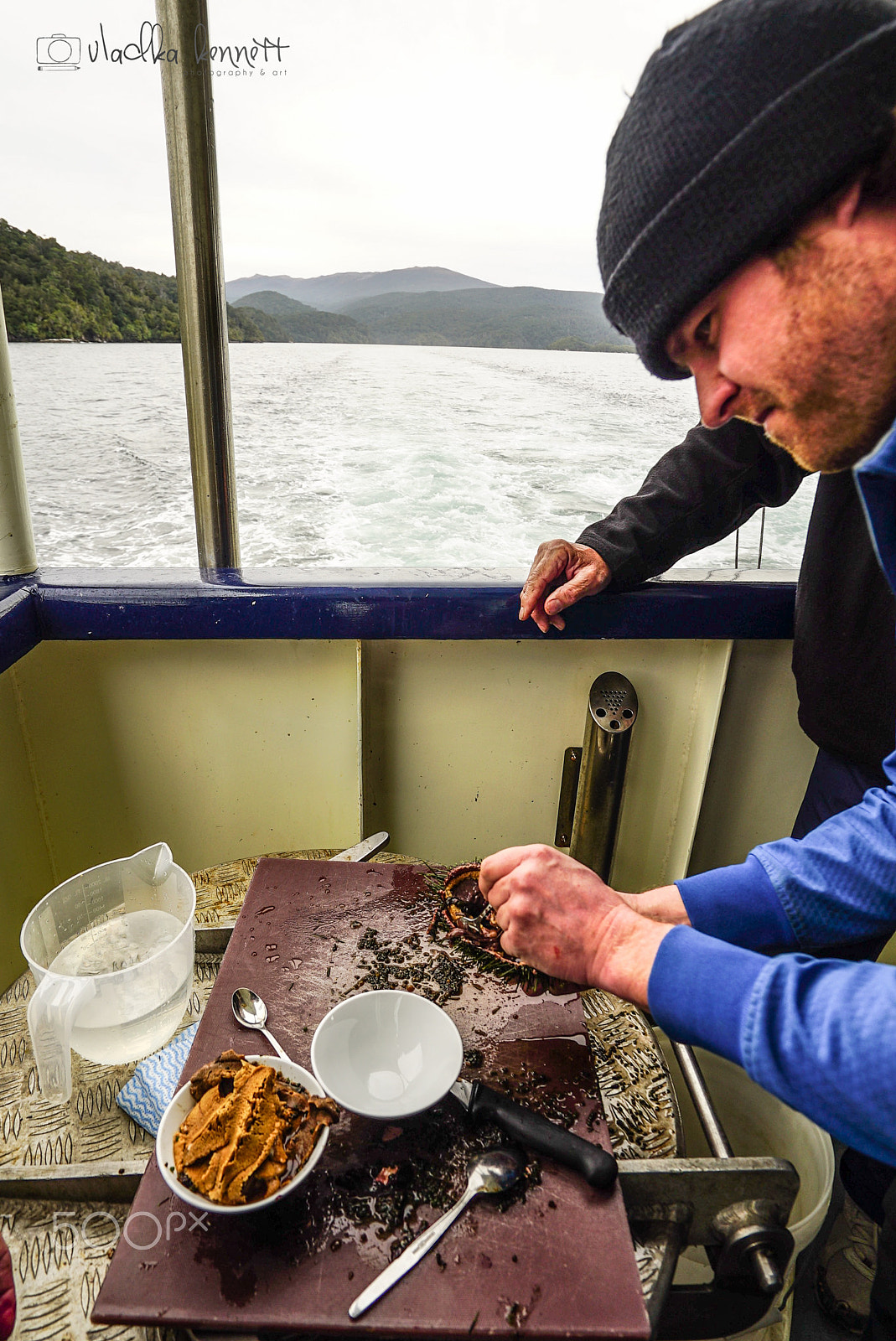 Sony a7S + Sony Vario-Tessar T* FE 16-35mm F4 ZA OSS sample photo. Stewart island discovery cruise photography