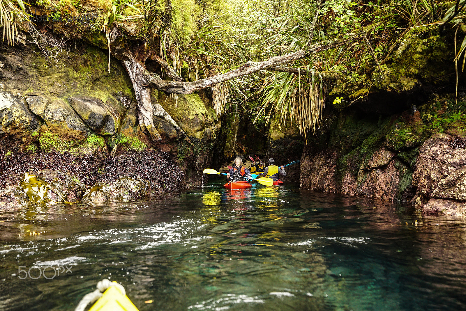 Sony a7S + Sony Vario-Tessar T* FE 16-35mm F4 ZA OSS sample photo. Stewart island discovery cruise photography