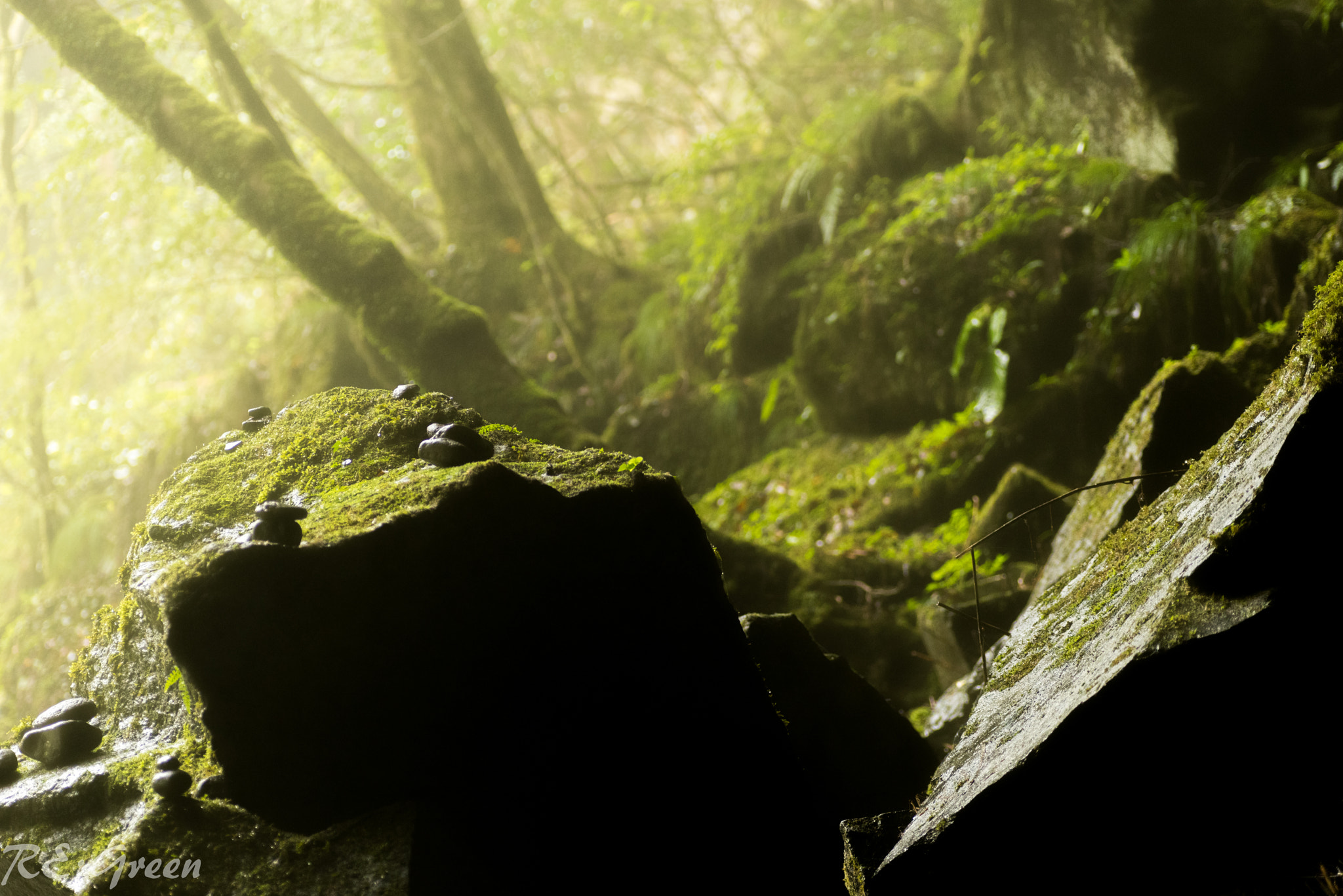 Pentax K-1 sample photo. 鍋ヶ滝付近　霧の岩 photography