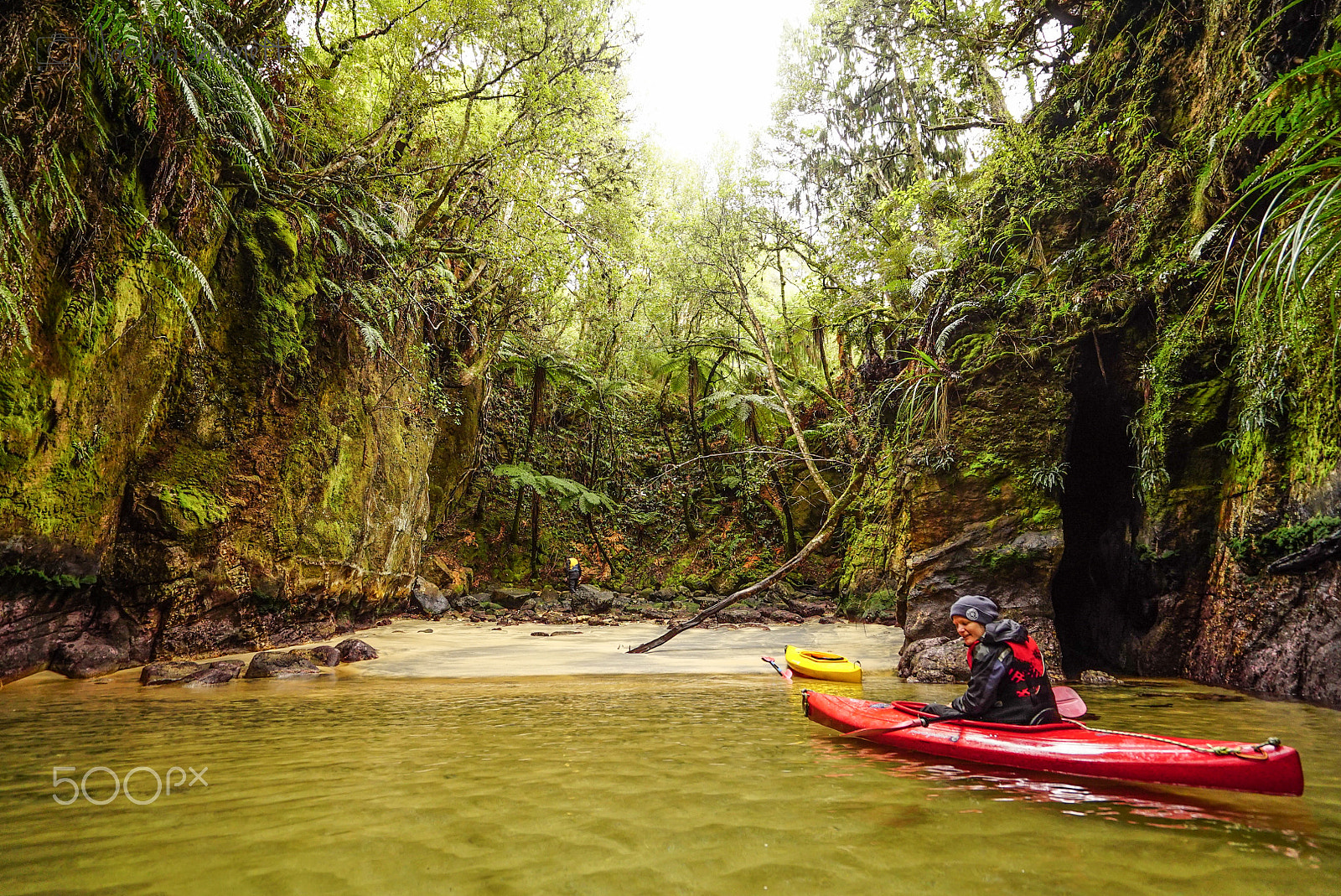 Sony a7S + Sony Vario-Tessar T* FE 16-35mm F4 ZA OSS sample photo. Stewart island discovery cruise photography