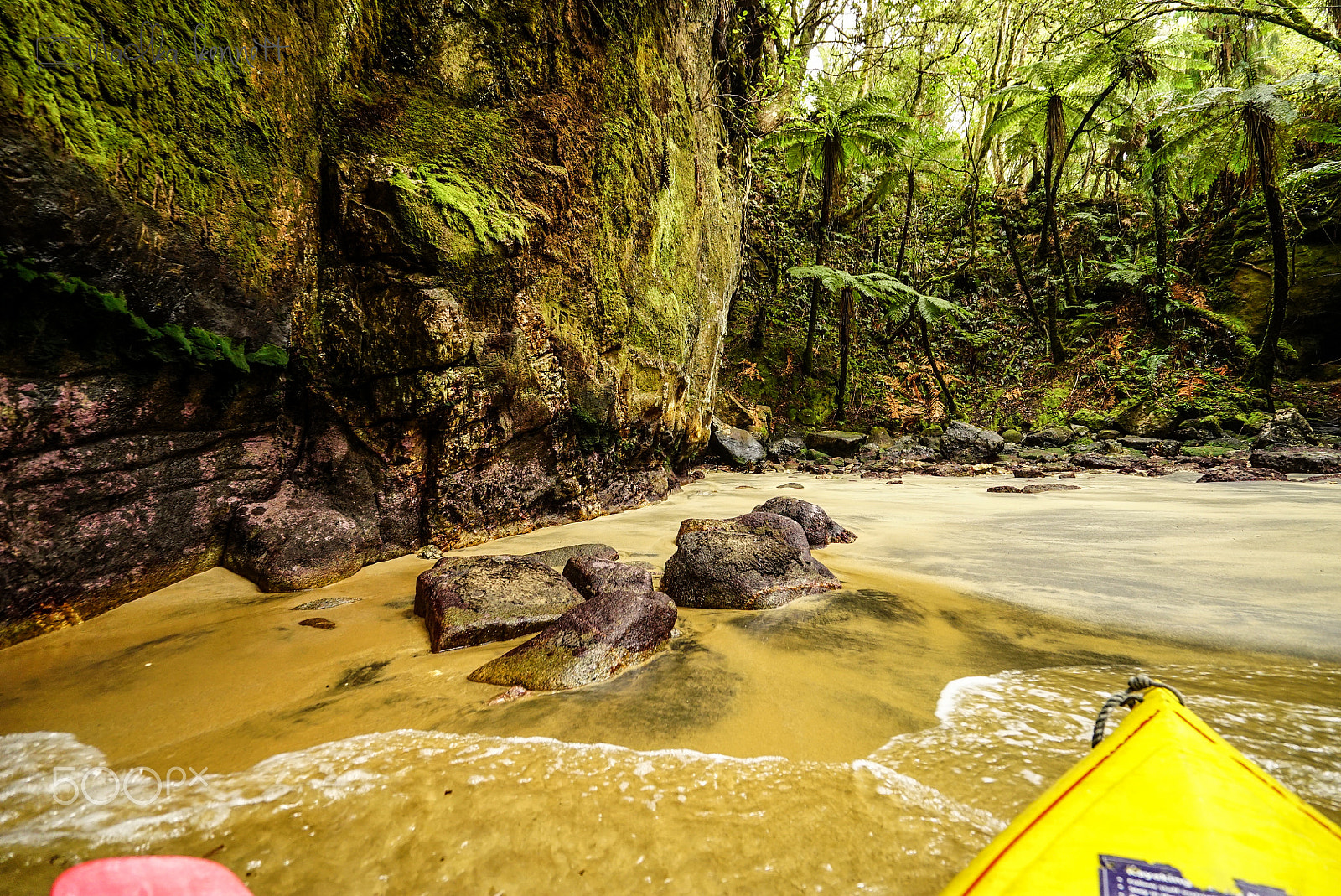 Sony a7S + Sony Vario-Tessar T* FE 16-35mm F4 ZA OSS sample photo. Stewart island discovery cruise photography