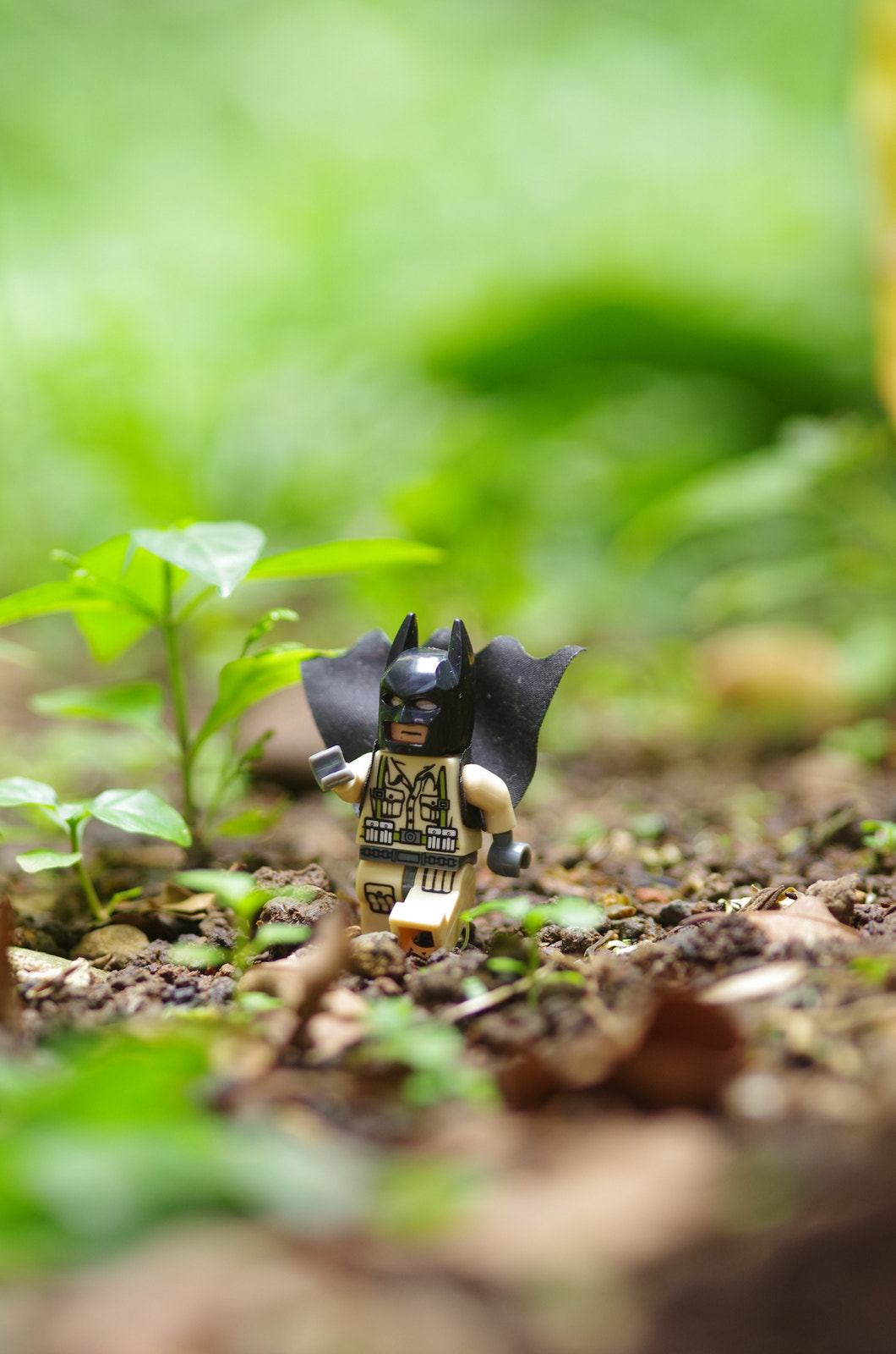 Pentax K-5 IIs + Sigma sample photo. Run batman run photography