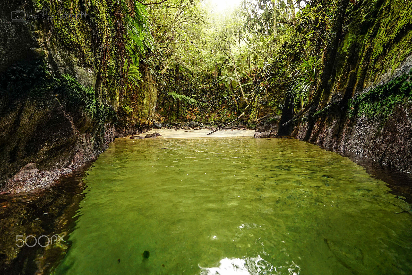 Sony a7S + Sony Vario-Tessar T* FE 16-35mm F4 ZA OSS sample photo. Stewart island discovery cruise photography