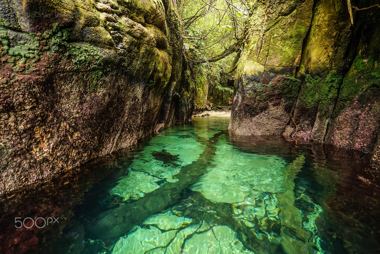Sony a7S + Sony Vario-Tessar T* FE 16-35mm F4 ZA OSS sample photo. Stewart island discovery cruise photography