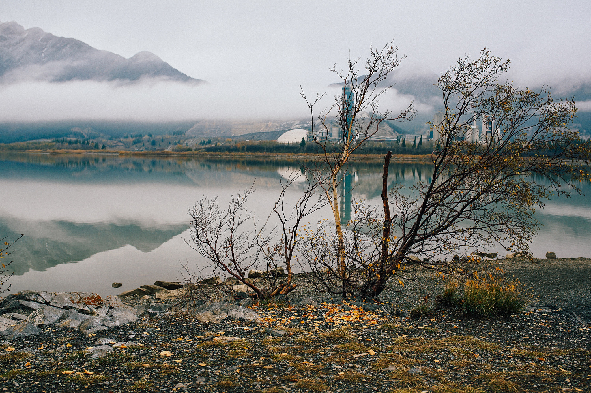 Sigma 35/1.4 EX HSM sample photo. Winter is upon us photography