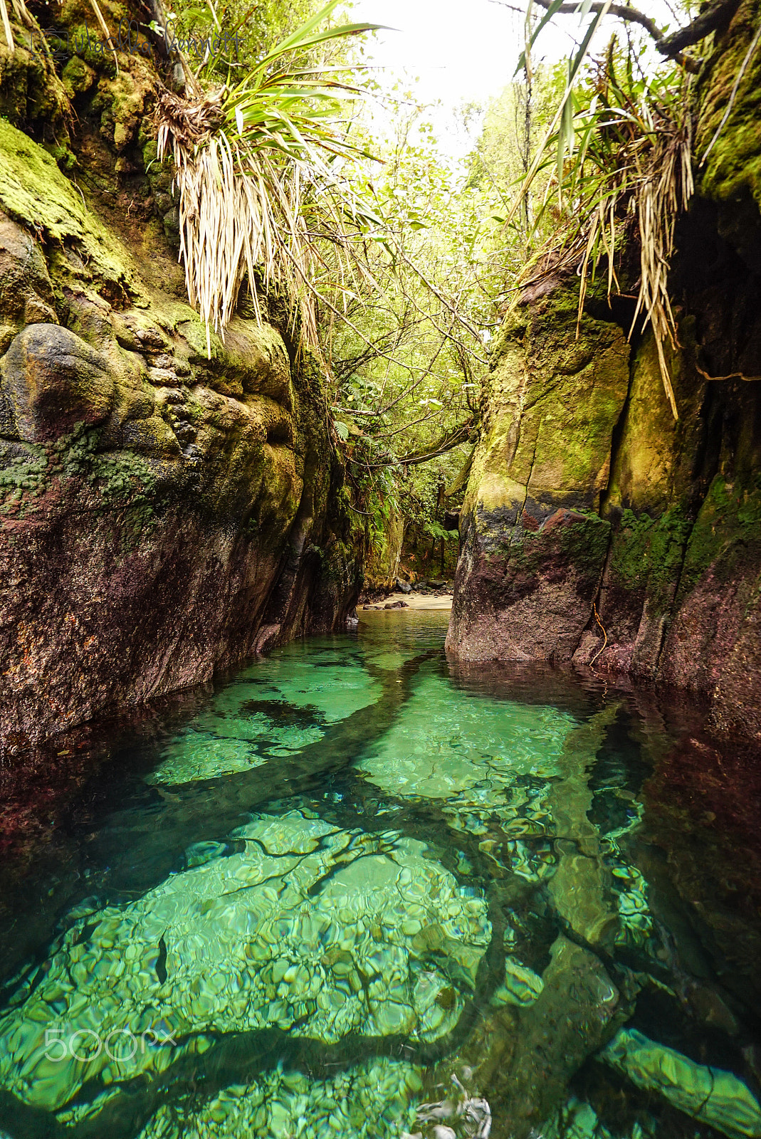 Sony a7S + Sony Vario-Tessar T* FE 16-35mm F4 ZA OSS sample photo. Stewart island discovery cruise photography